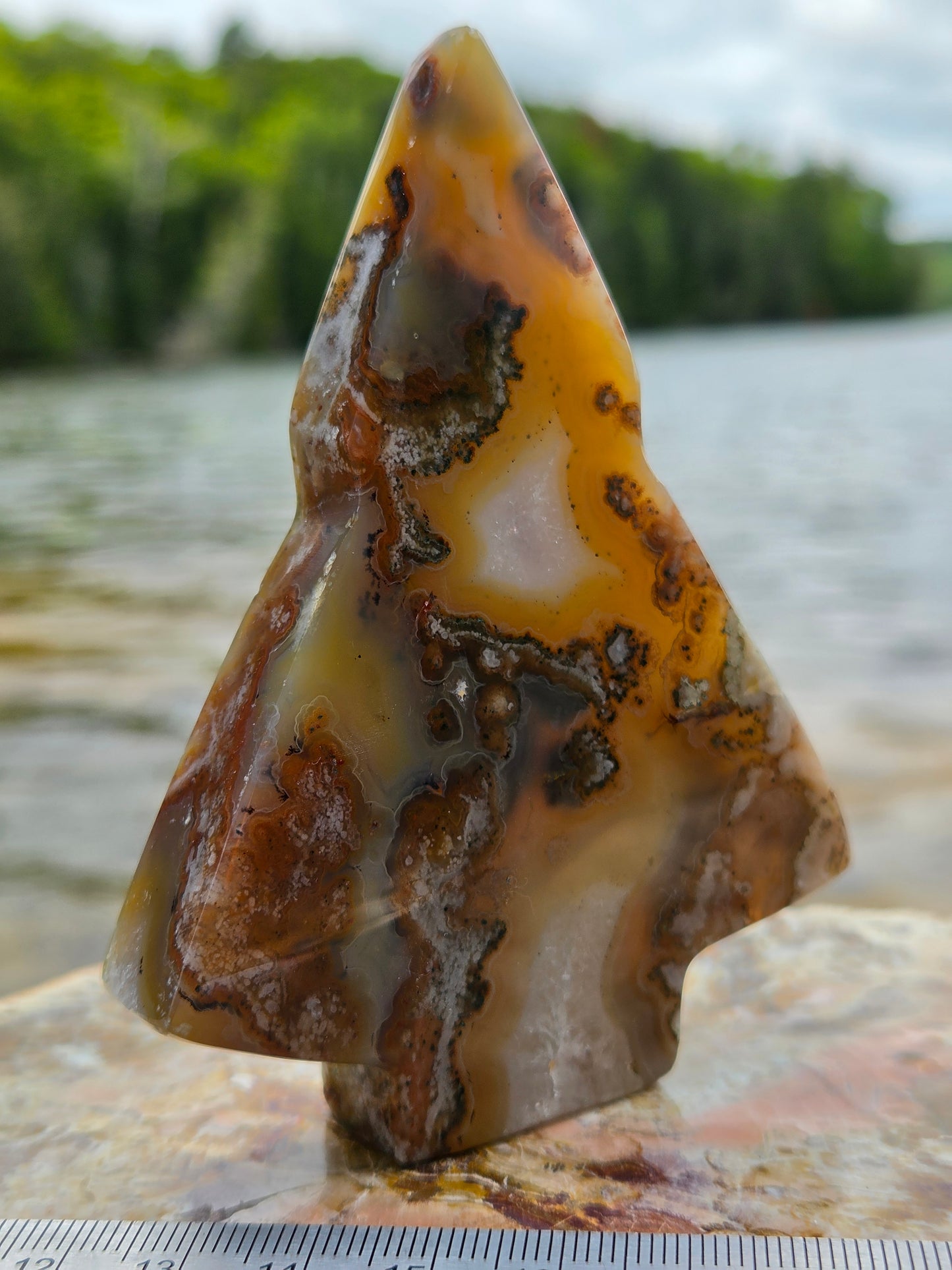 Druzy Agate Tree | Polished Agate Crystal with Druzy Pocket