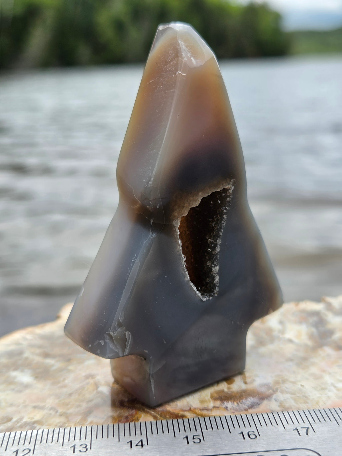 Druzy Agate Tree | Polished Agate Crystal with Druzy Pocket