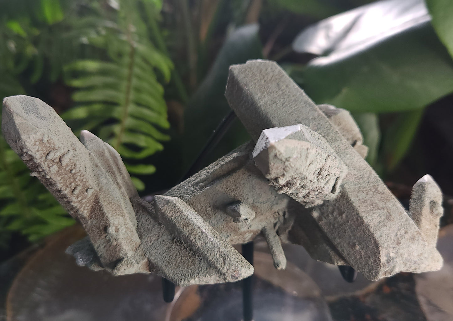 Chlorite-Coated Quartz Cluster • Rare Velvety Green Growth • Natural Formation