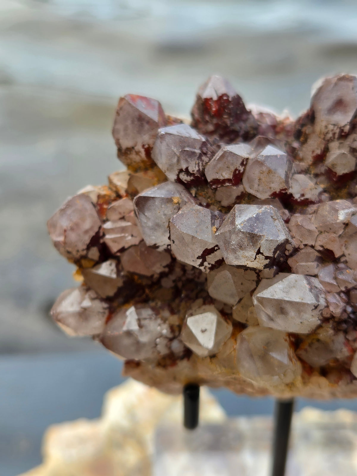 Black Pineapple Quartz with Hematite | Red Hematite Quartz Crystal Cluster