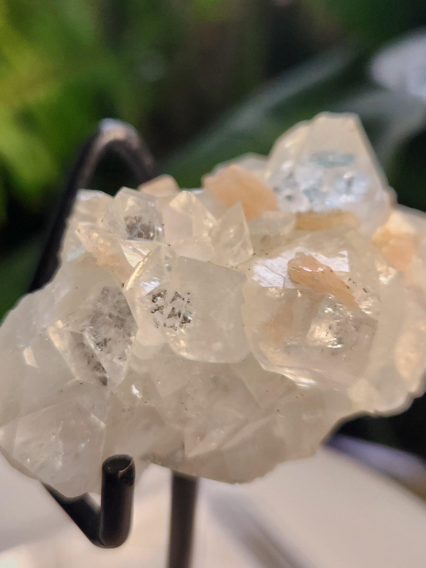Natural Apophyllite Stilbite Crystal Cluster – High Vibration Druzy Specimen for Healing, Clarity & Spiritual Growth