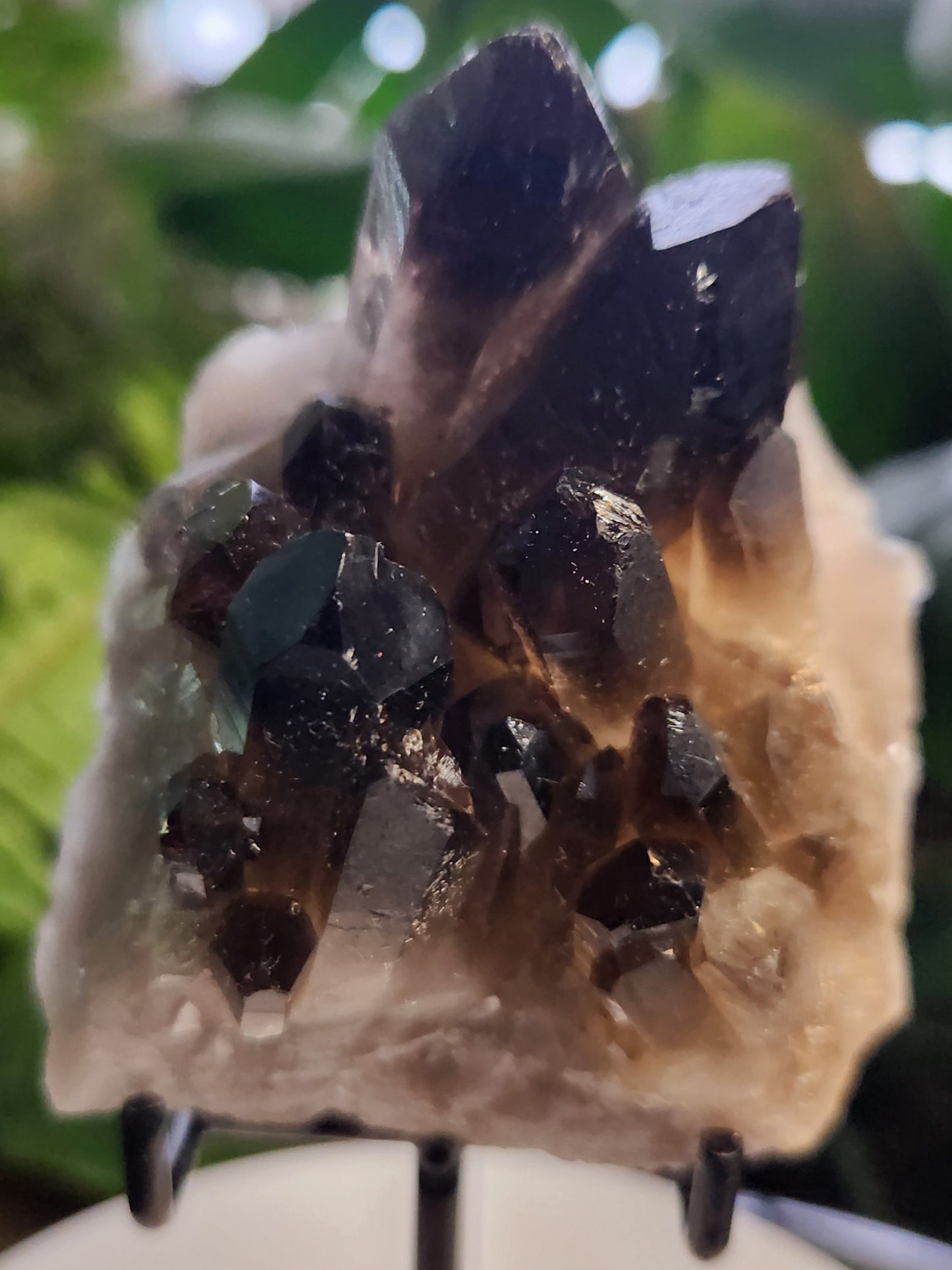Natural Smoky / Smokey Quartz Crystal Cluster – Dark Smoky Quartz on Matrix - Brazil