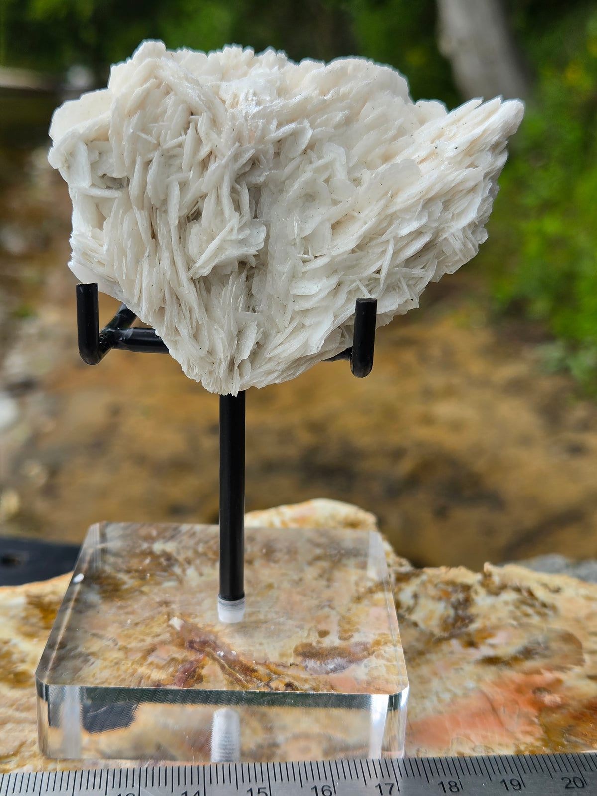 Angel Wing Calcite Crystal Cluster | White Bladed Calcite Mineral Specimen