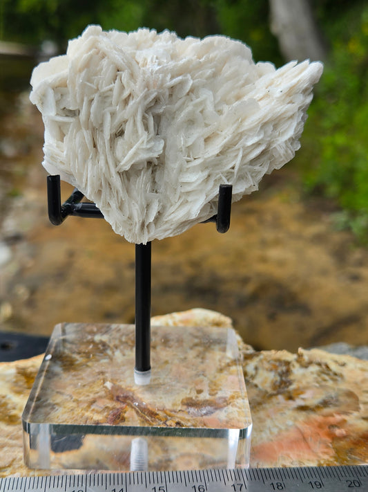 Angel Wing Calcite Crystal Cluster | White Bladed Calcite Mineral Specimen