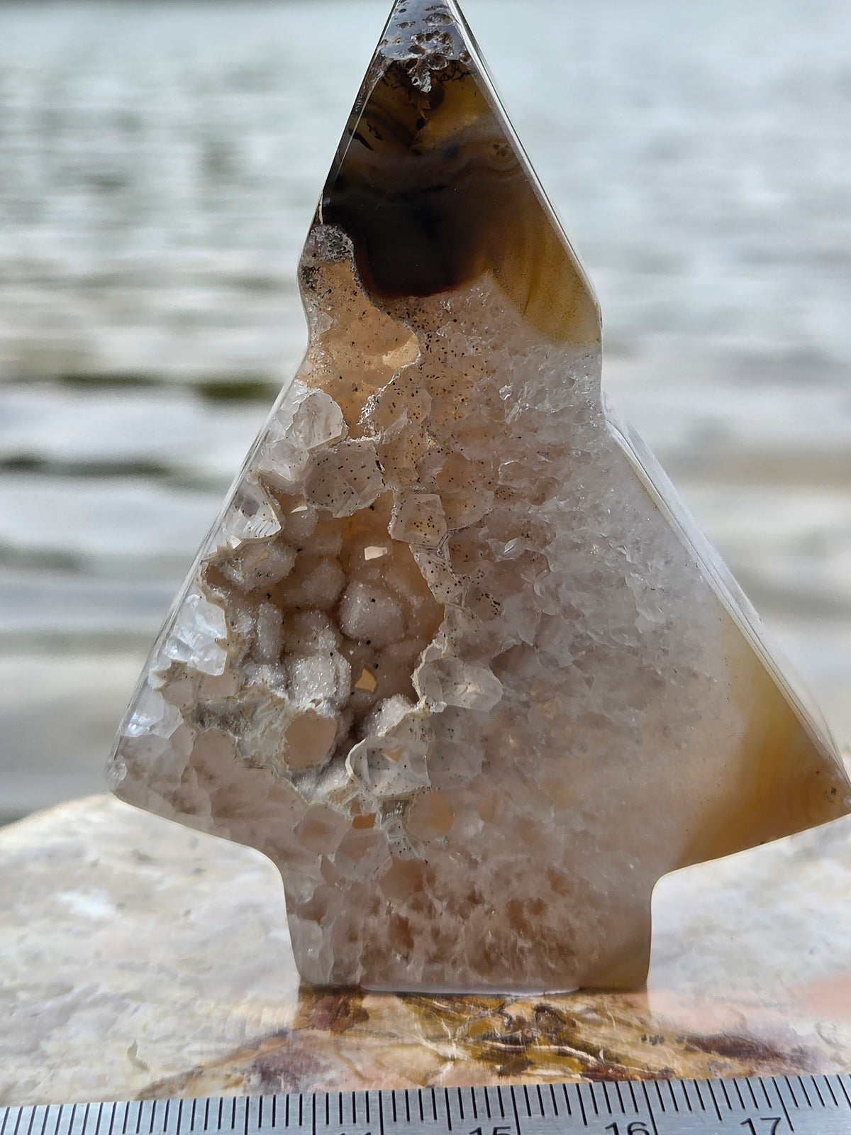 Druzy Agate Tree | Polished Agate Crystal with Druzy Pocket