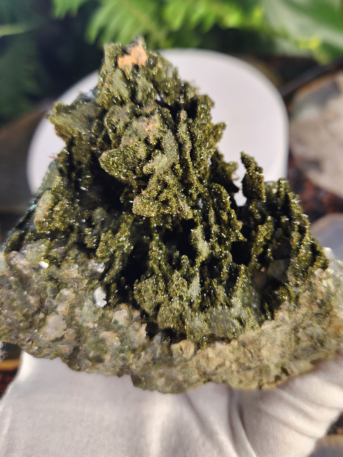 Rare Forest Epidote with Druzy Quartz – Sparkling Green Growth Crystal | Collector Mineral | Grounding & Abundance Stone