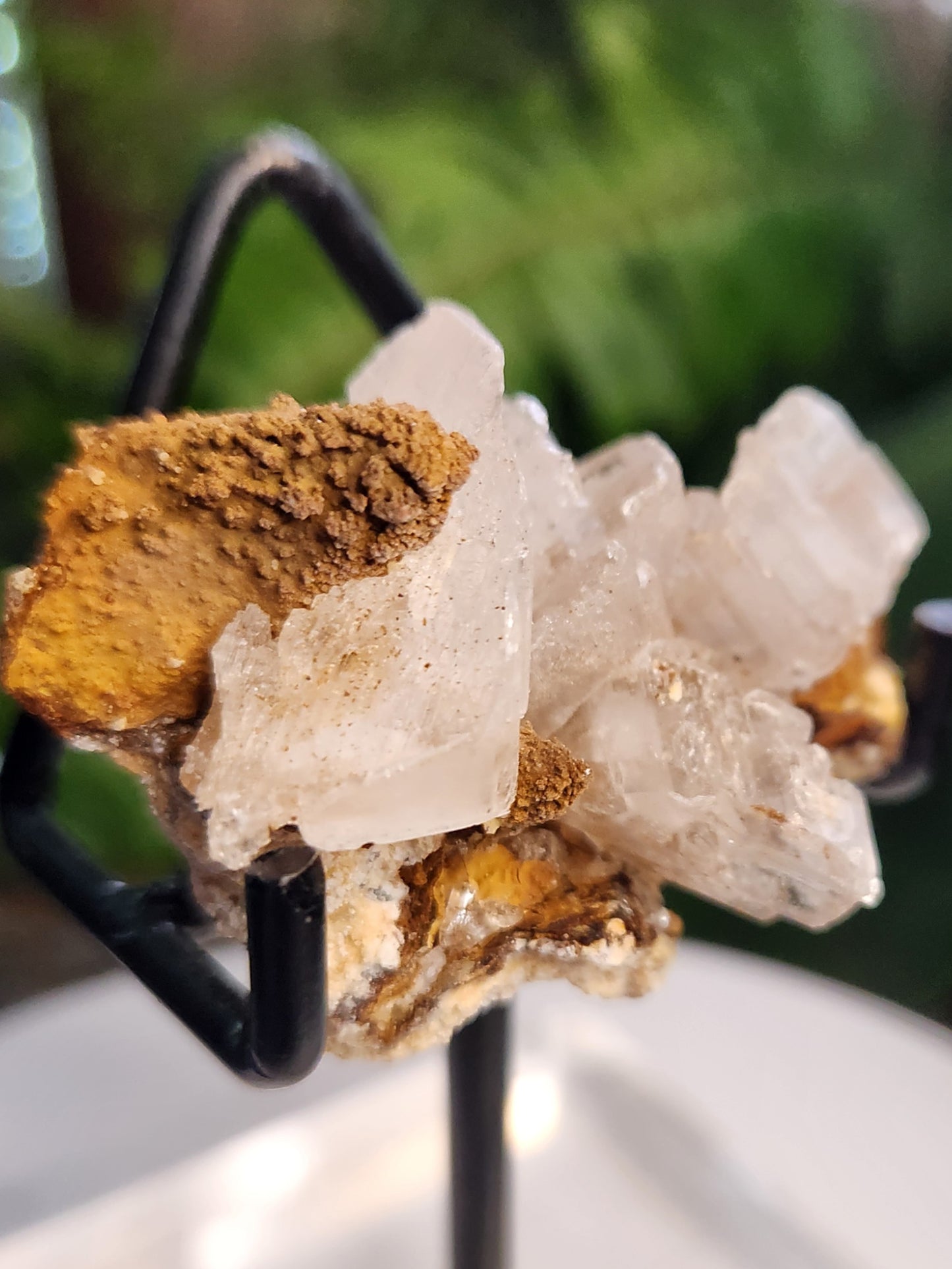 Blade Selenite Crystal Specimen — Natural Satin Spar Gypsum Cluster | Cleansing, Purification, High-Vibration Stone