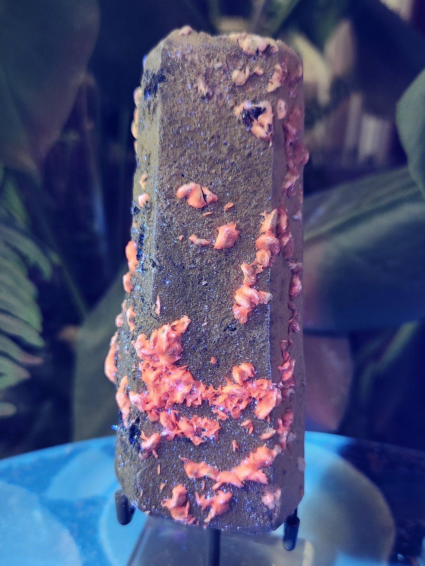 Pink Calcite on Chlorite Quartz with Specularite — Large UV-Reactive Crystal Specimen