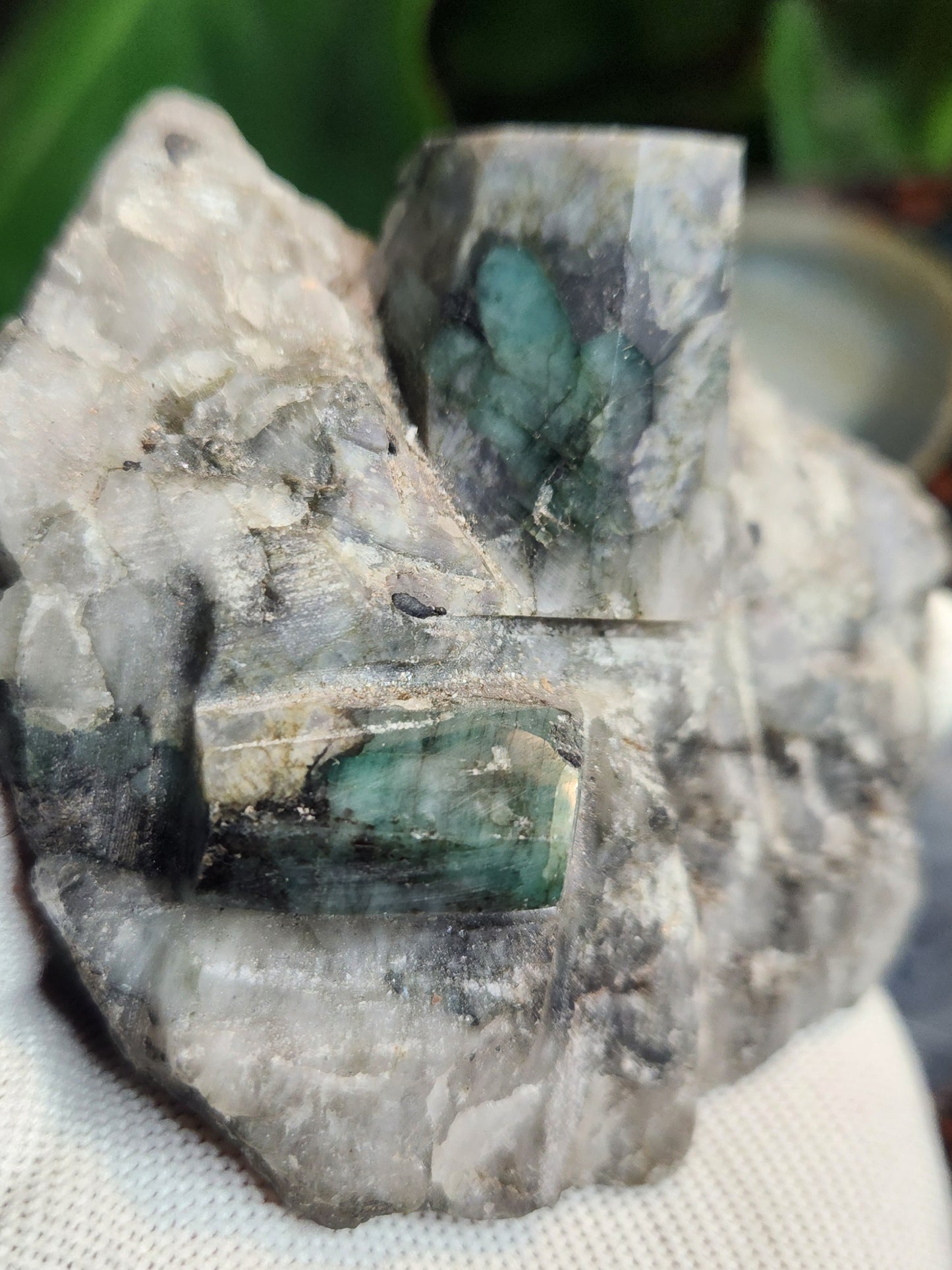 Emerald in Quartz Matrix | Natural Beryl Crystal Specimen | Collector Mineral from Brazil