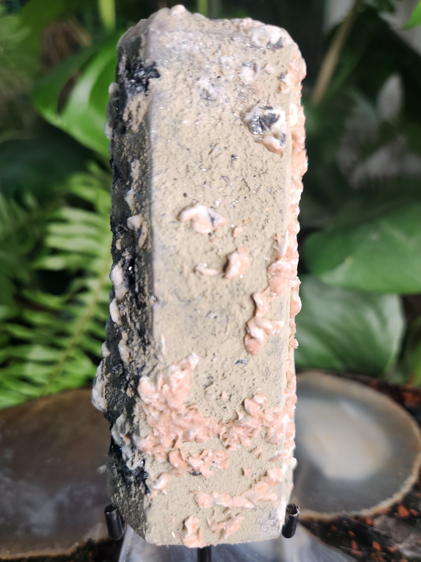 Pink Calcite on Chlorite Quartz with Specularite — Large UV-Reactive Crystal Specimen