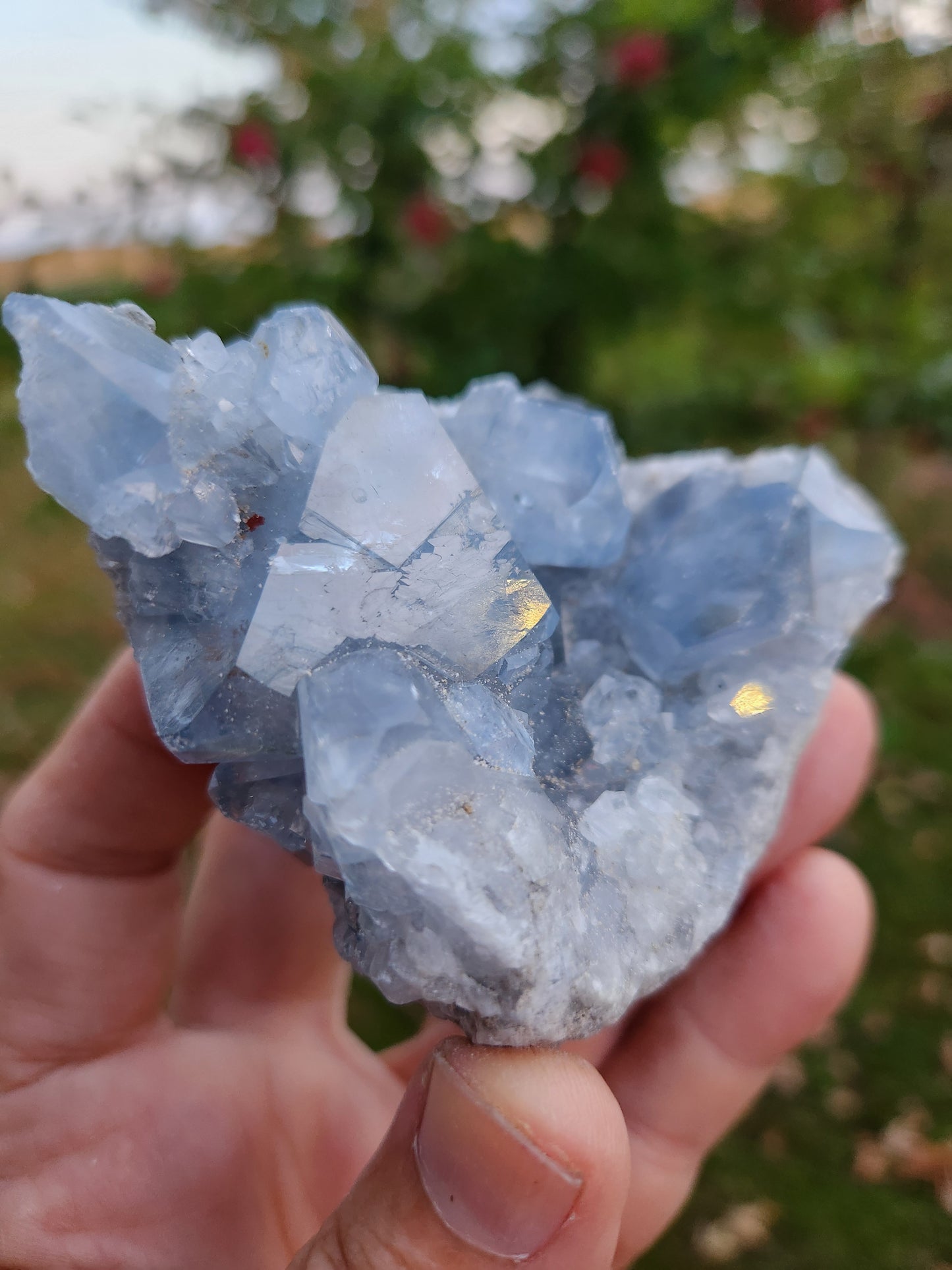 Natural Celestite Cluster – Raw Blue Celestine Crystal for Healing, Meditation & Home Décor