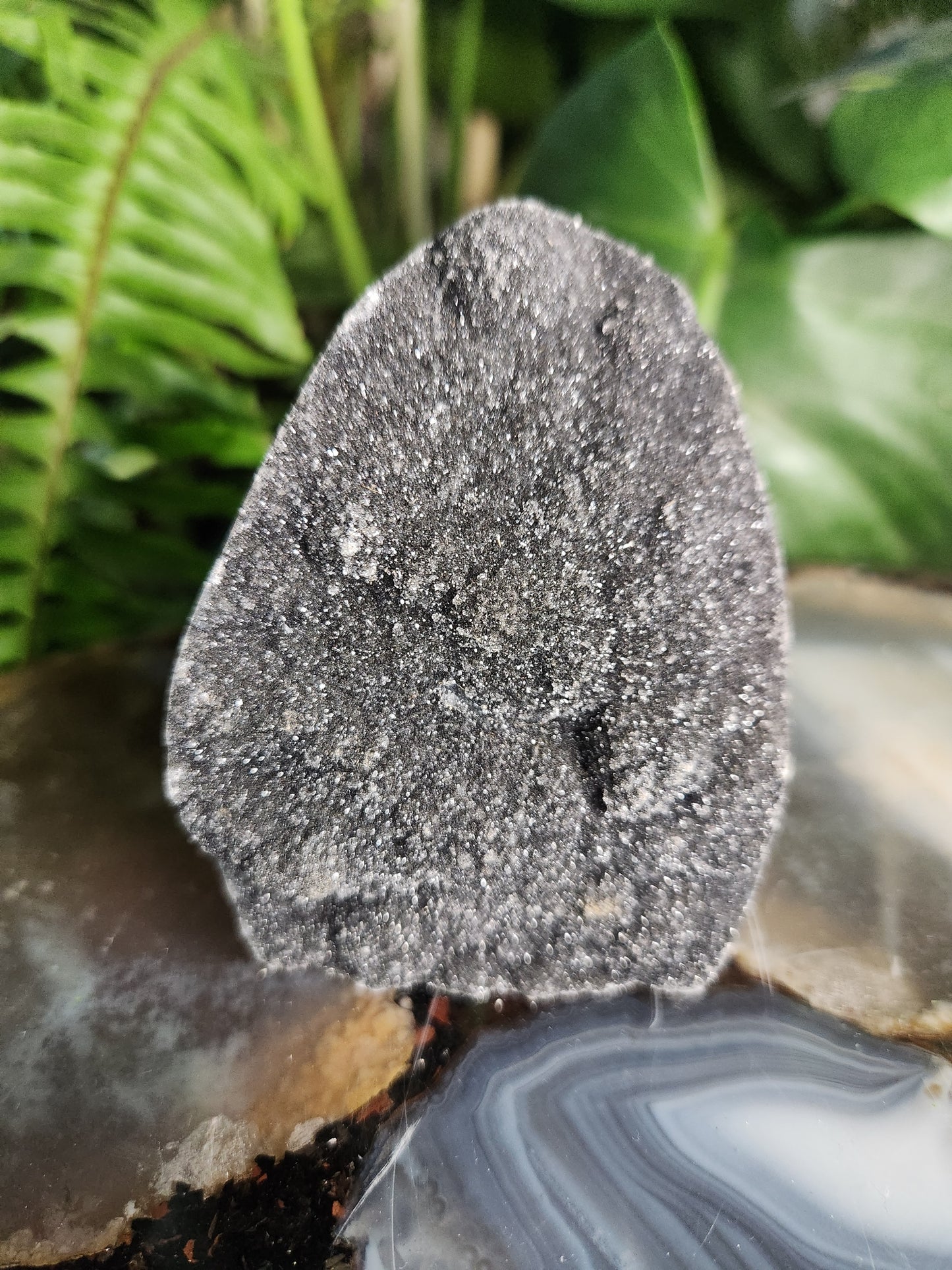 Druzy Black Amethyst Standing Freeform • Natural Dark Amethyst Cluster from Brazil • Sparkling Druzy Display Piece • Protection & Cleansing Crystal
