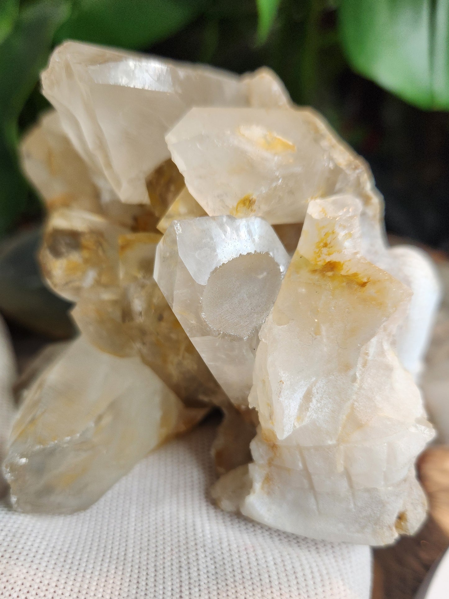 Stunning Hand-Carved Quartz Skull with Druzy & Natural Crystal Formations