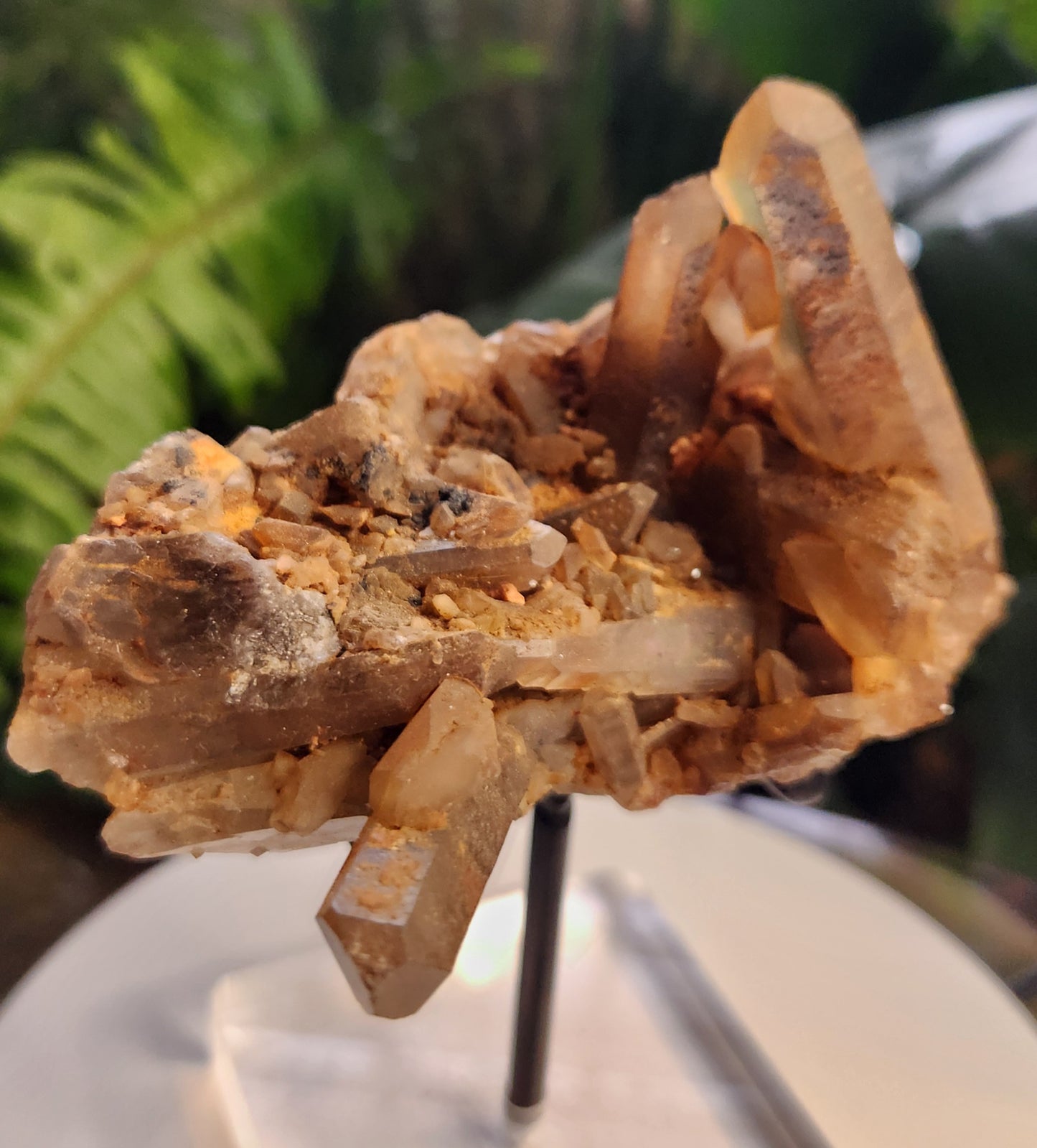 Natural Hematoid Smoky Quartz Crystal Cluster – Smoky Quartz with Hematite Inclusions