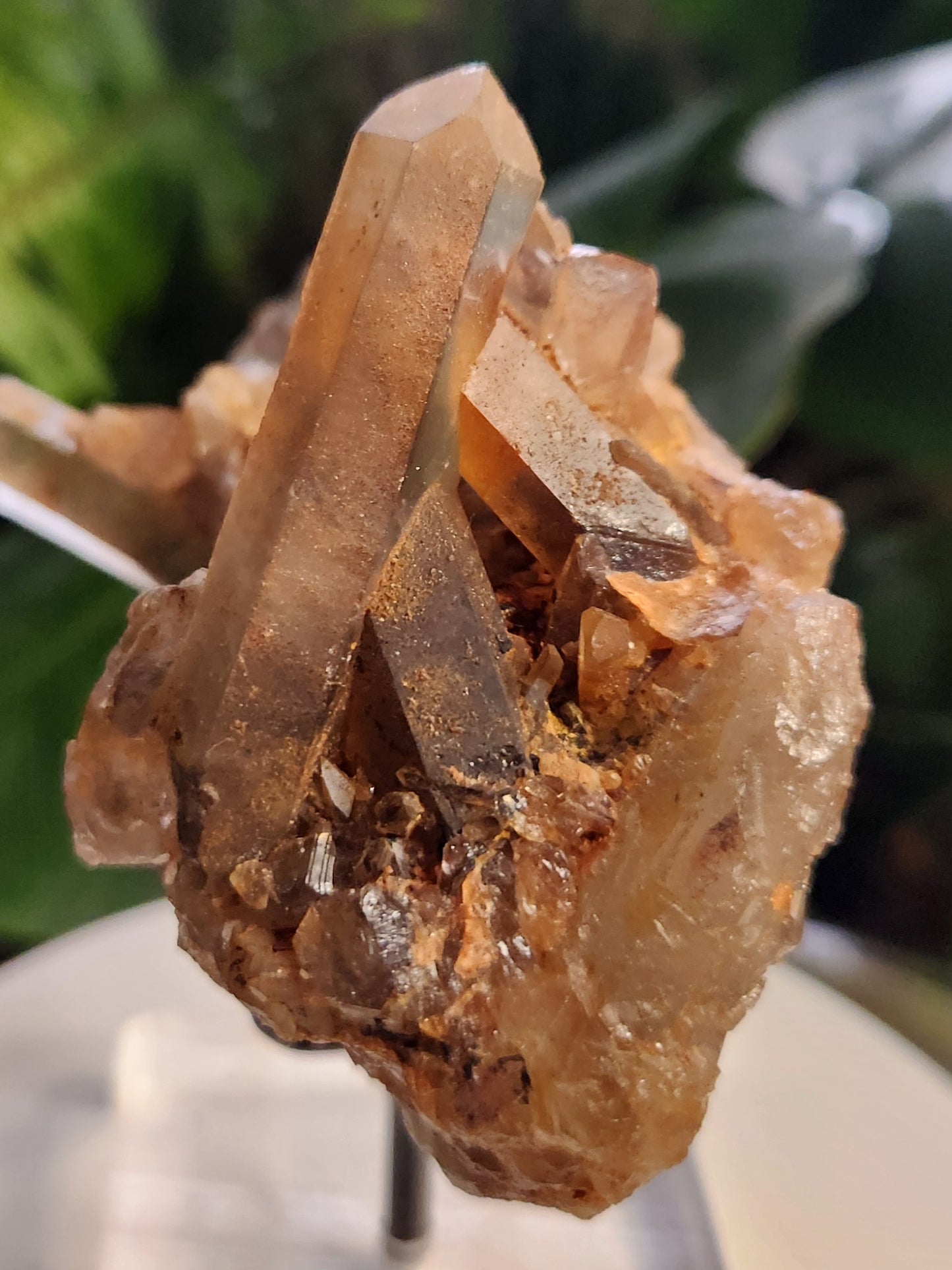 Natural Hematoid Smoky Quartz Crystal Cluster – Smoky Quartz with Hematite Inclusions