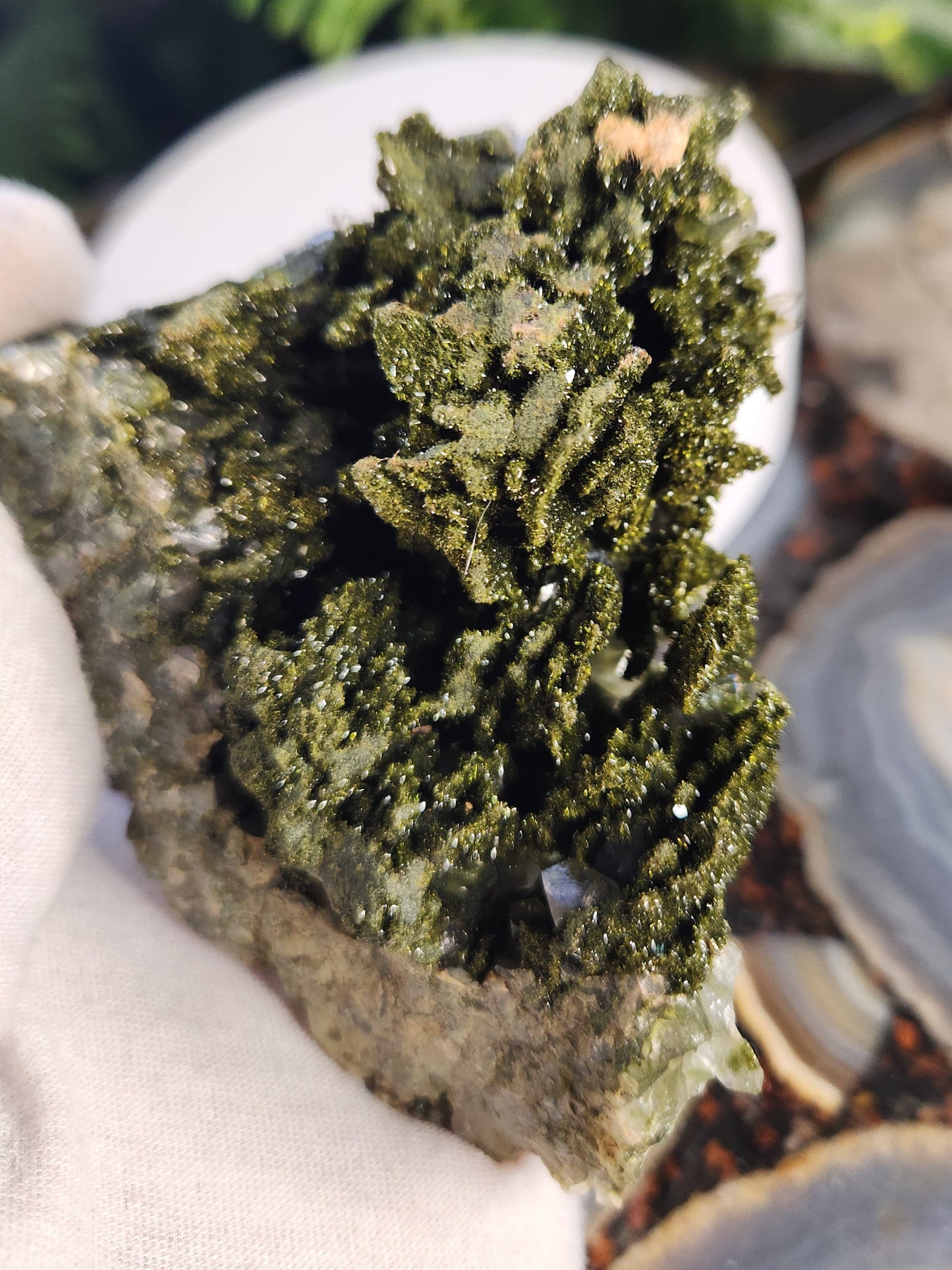 Rare Forest Epidote with Druzy Quartz – Sparkling Green Growth Crystal | Collector Mineral | Grounding & Abundance Stone