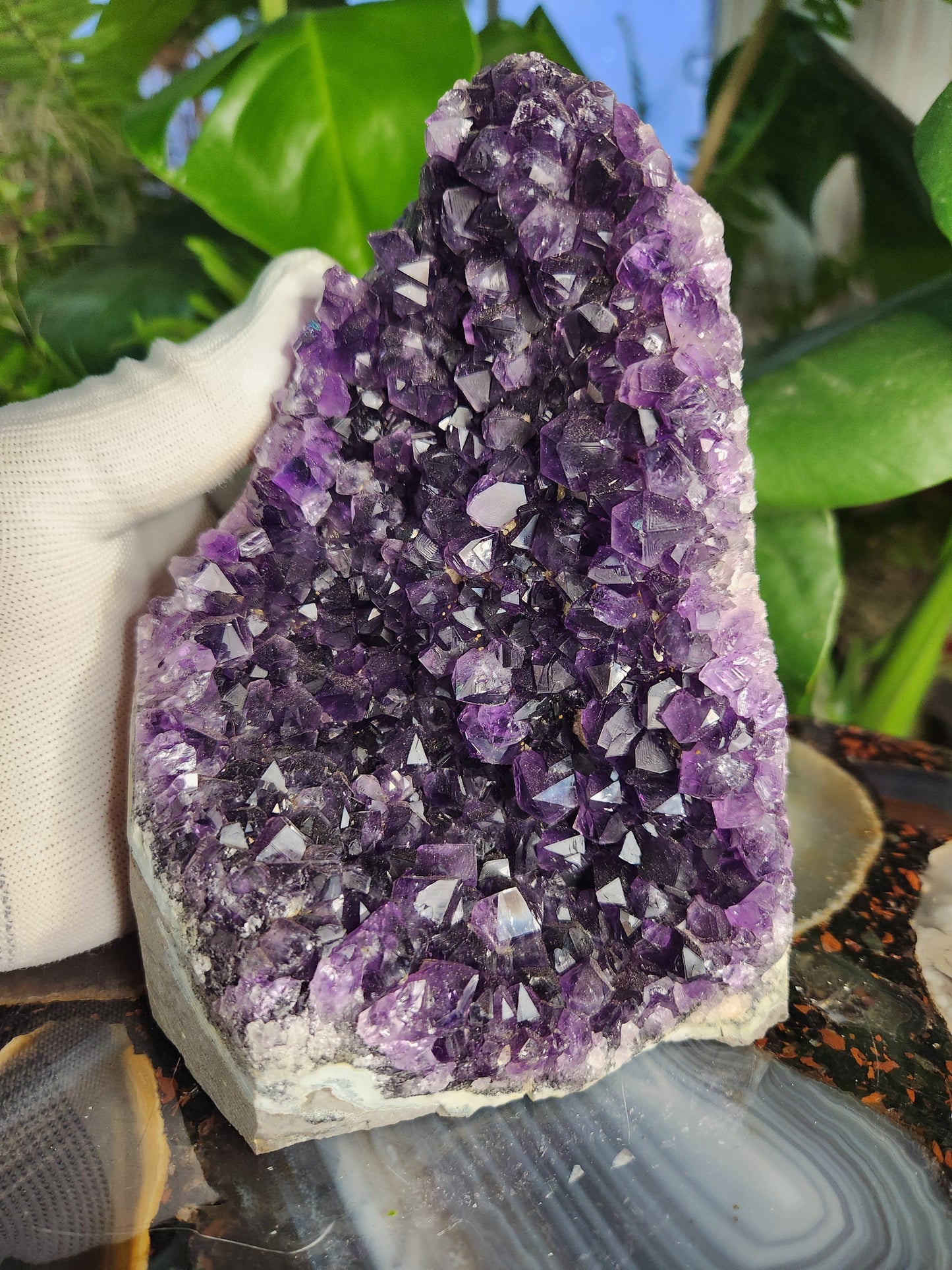 Stunning Amethyst Druzy Cluster from Brazil – Sparkling Purple Quartz Crystal Geode • Natural Healing Stone • Collector Display Specimen With Cut Base