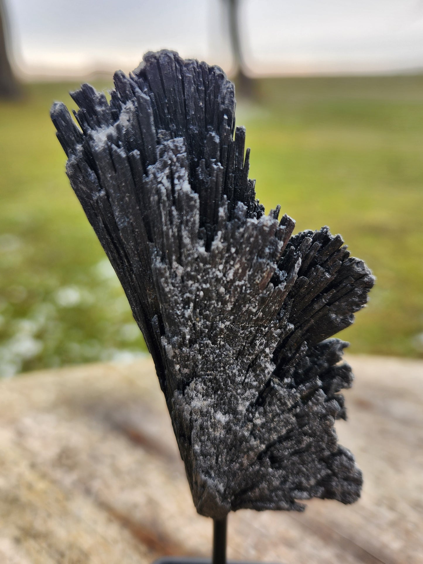 Black Kyanite Fan Crystal Cluster on Metal Stand – Natural Bladed Specimen for Protection, Cleansing & Home Décor