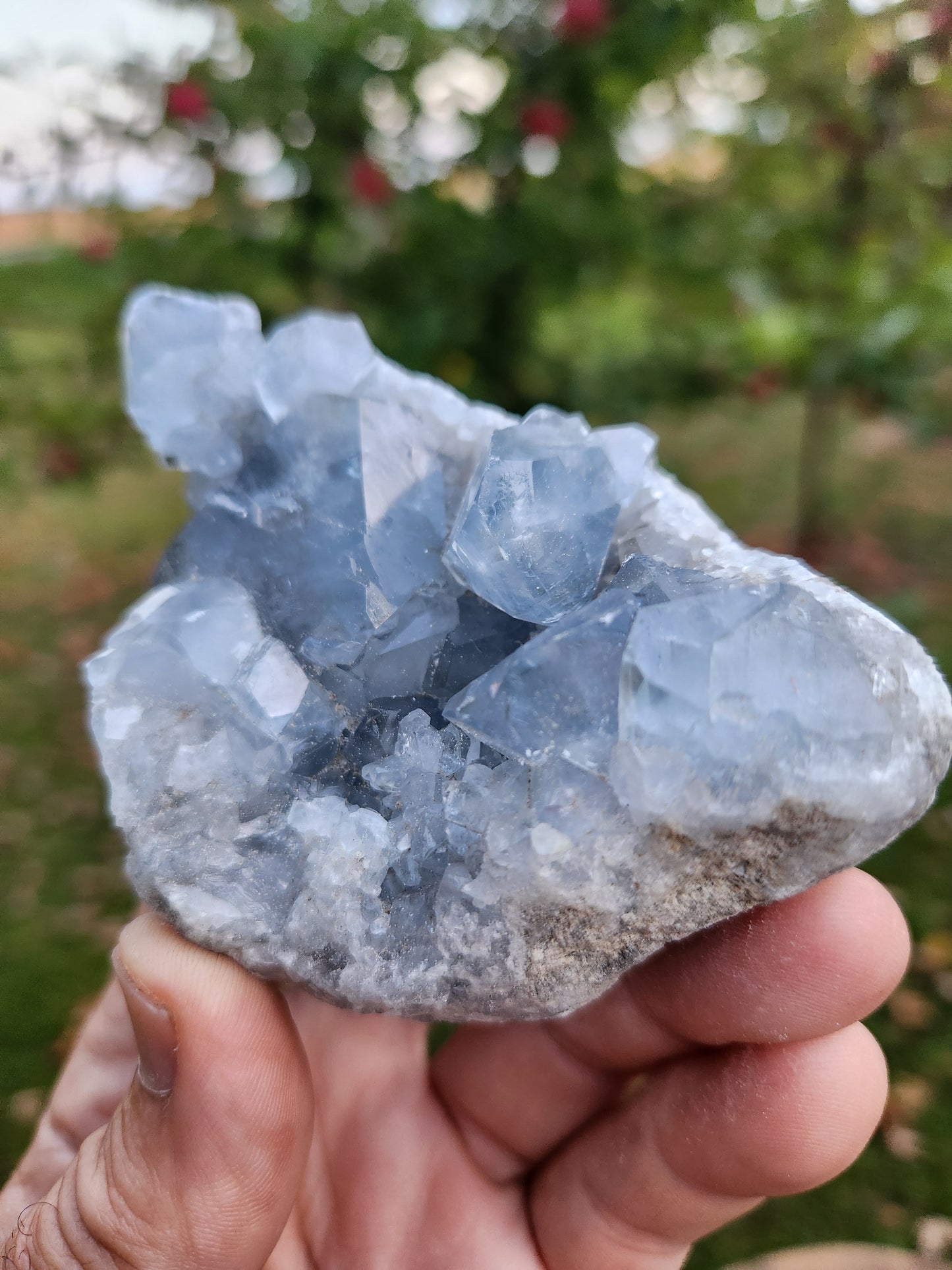 Natural Celestite Cluster – Raw Blue Celestine Crystal for Healing, Meditation & Home Décor
