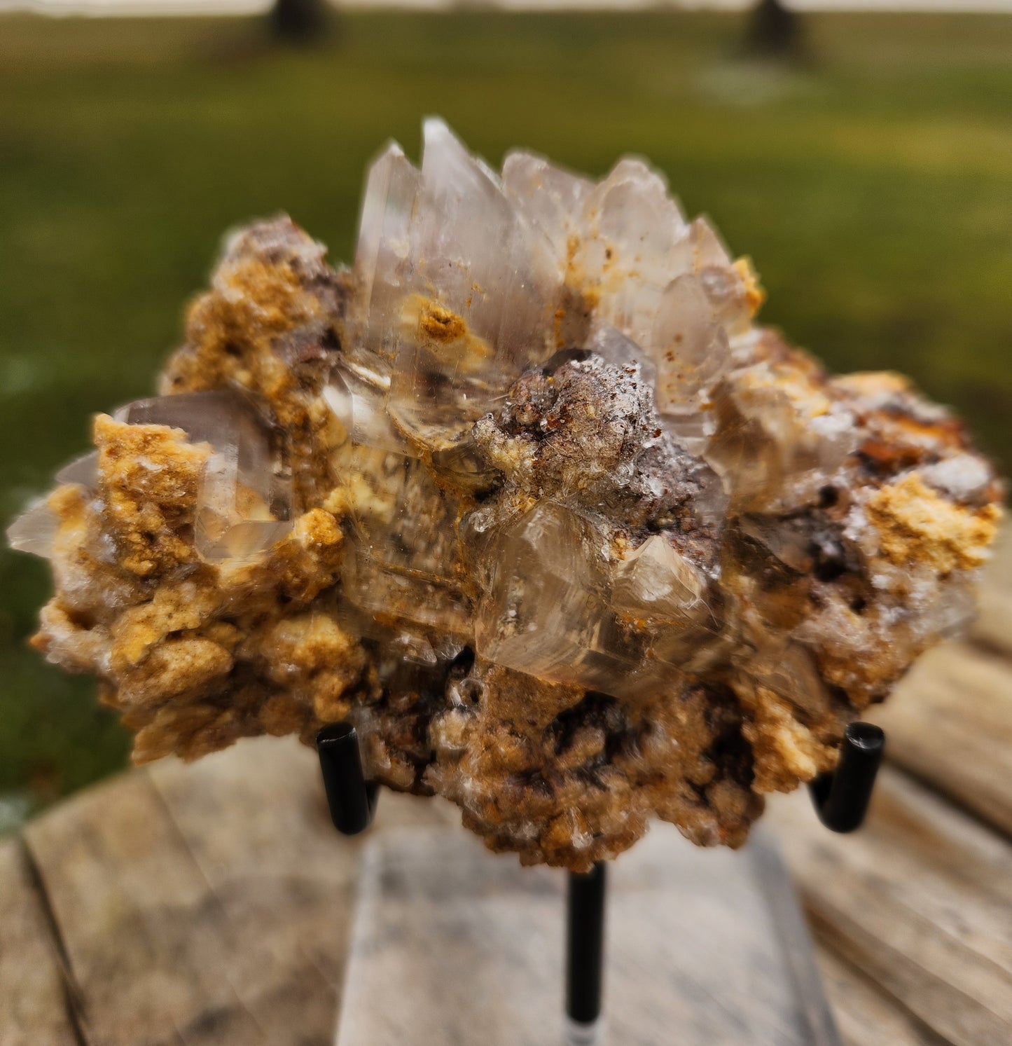 Blade Selenite Crystal Specimen — Natural Satin Spar Gypsum Cluster | Cleansing, Purification, High-Vibration Stone
