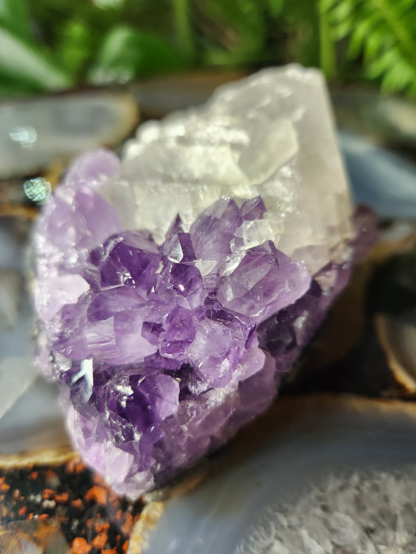 Large Deep Purple Amethyst Geode with White Calcite – Energy Amplifier | Brazilian Crystal Specimen