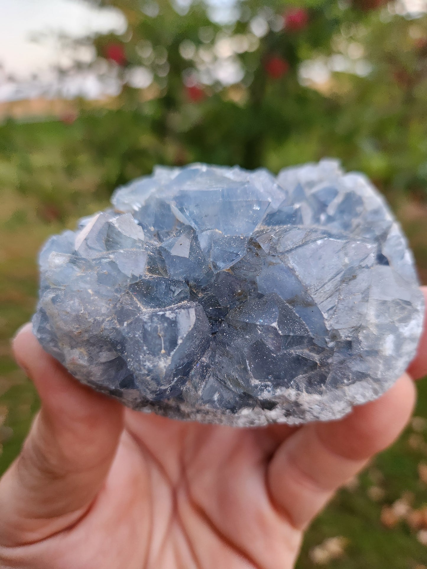 Natural Celestite Cluster – Raw Blue Celestine Crystal for Healing, Meditation & Home Décor