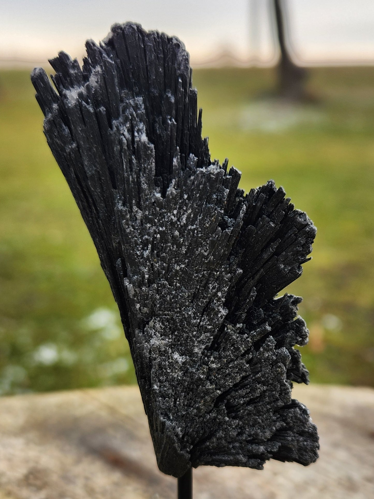 Black Kyanite Fan Crystal Cluster on Metal Stand – Natural Bladed Specimen for Protection, Cleansing & Home Décor