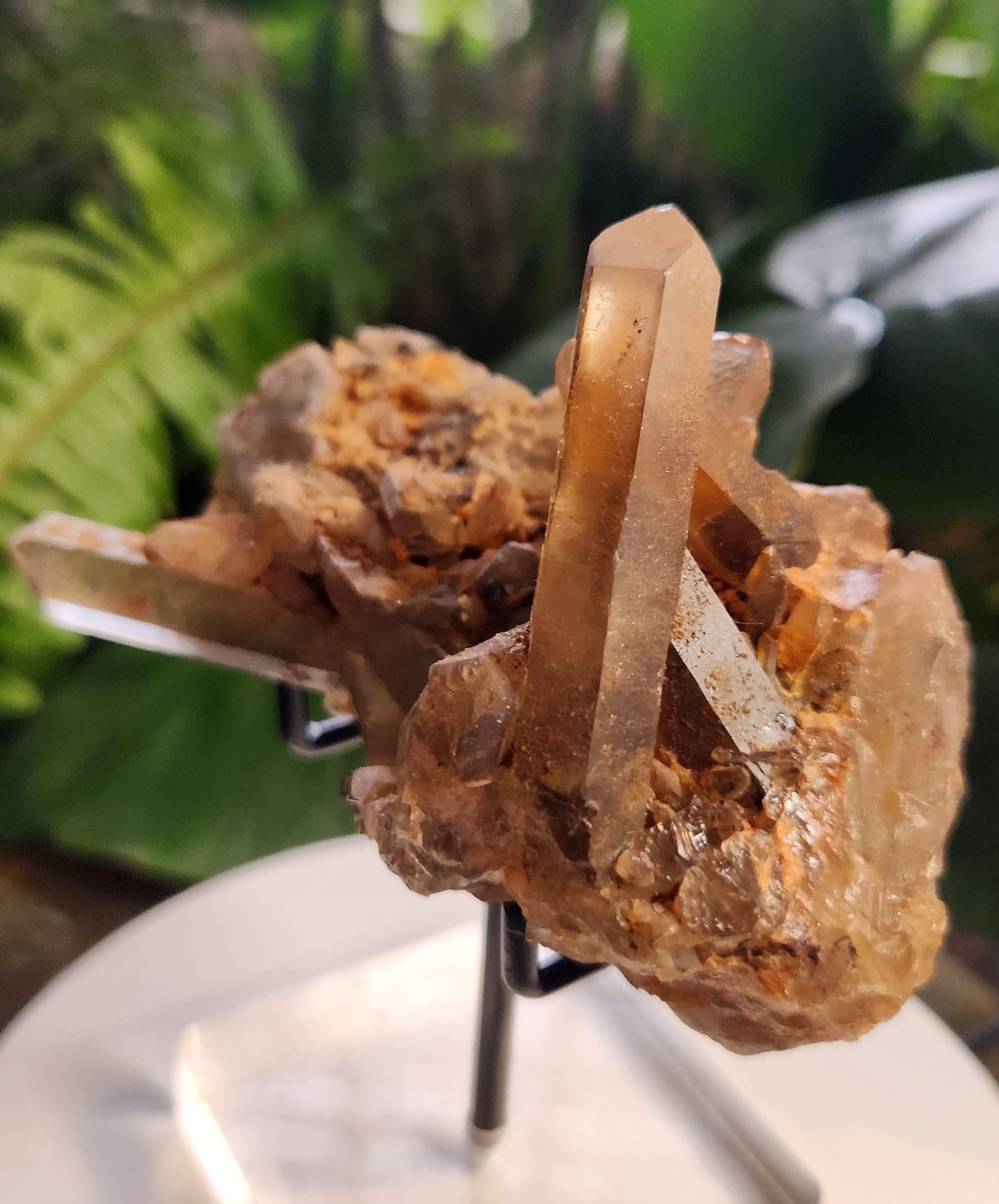 Natural Hematoid Smoky Quartz Crystal Cluster – Smoky Quartz with Hematite Inclusions