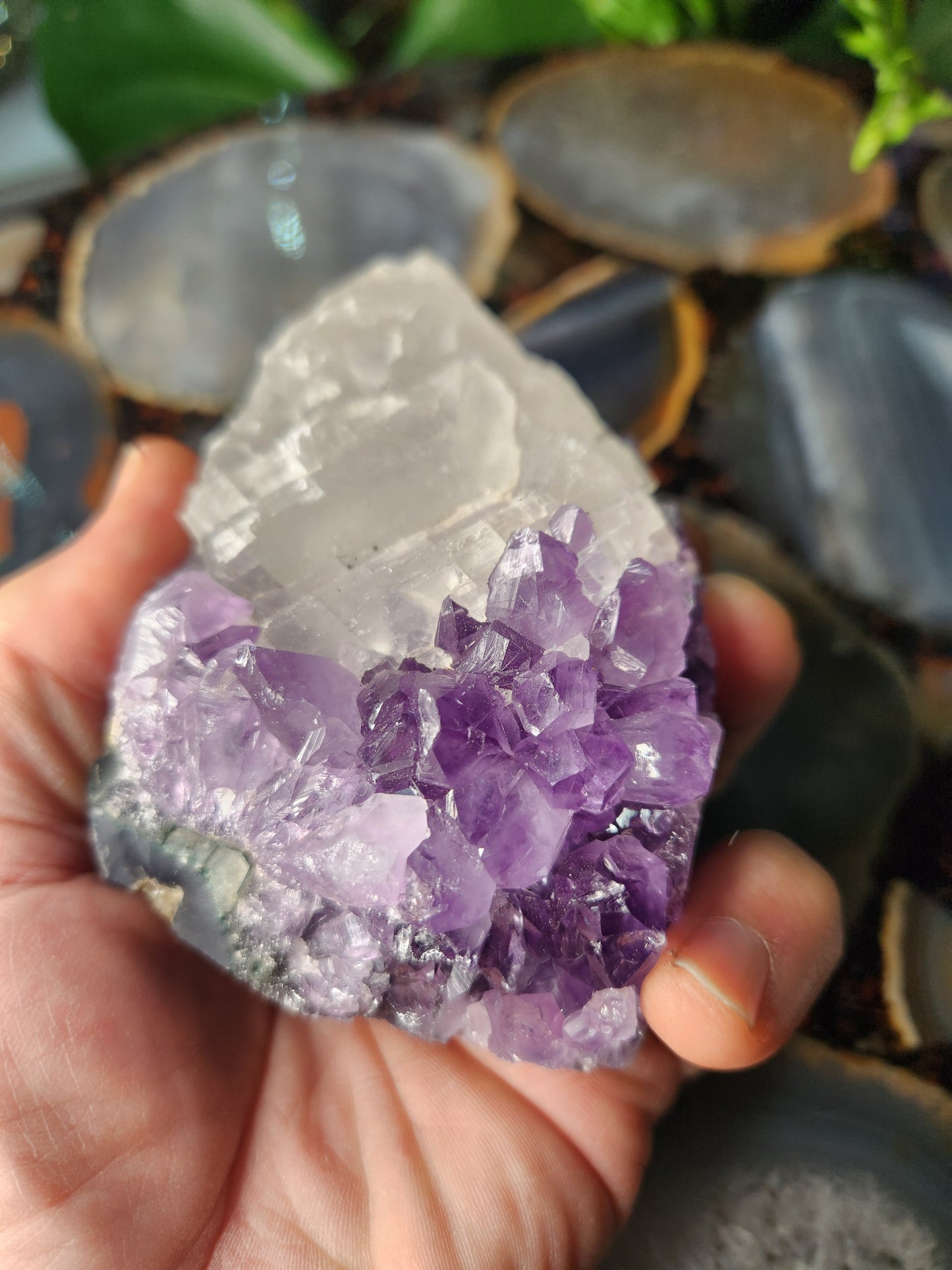 Large Deep Purple Amethyst Geode with White Calcite – Energy Amplifier | Brazilian Crystal Specimen
