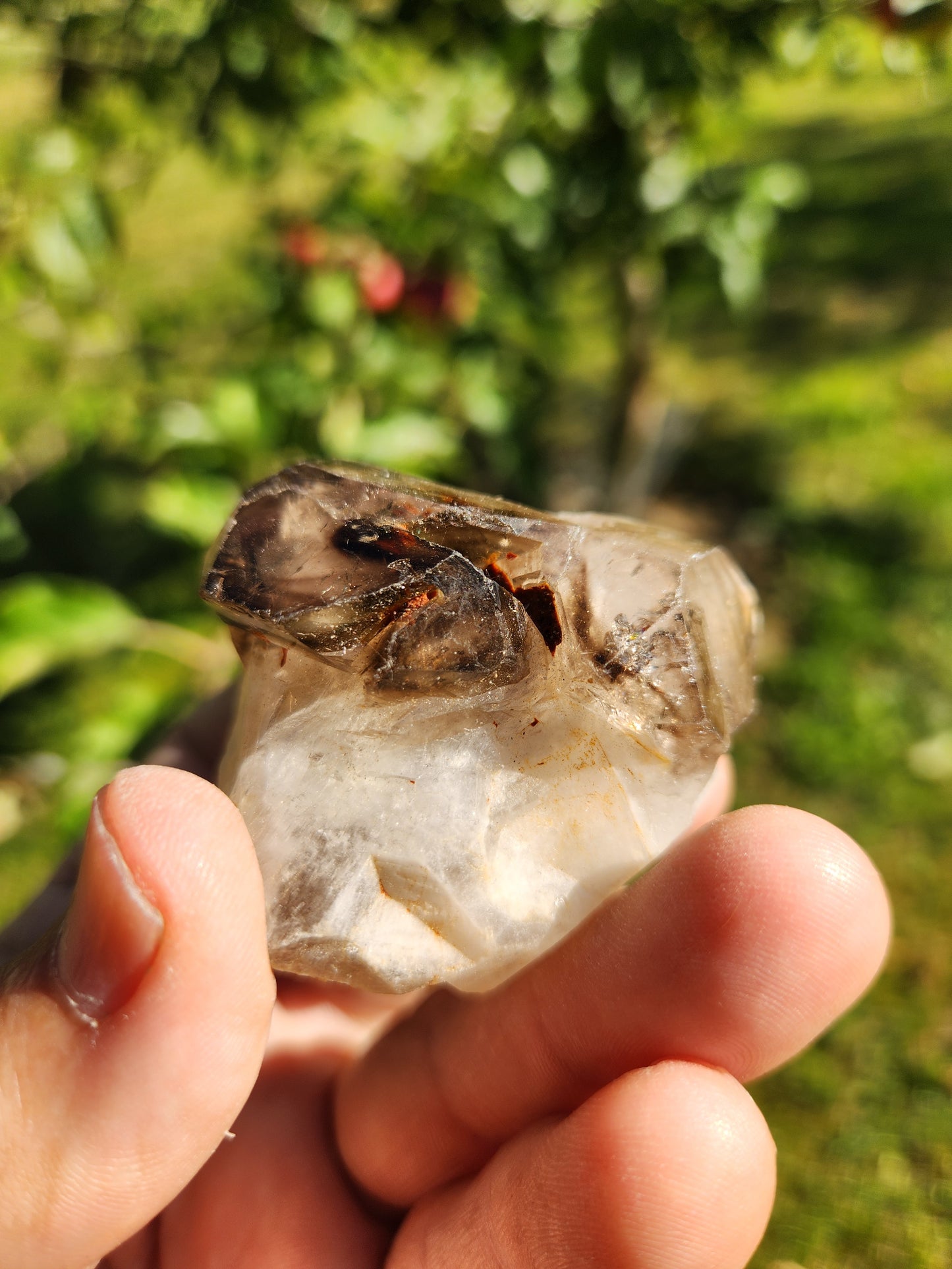 Alligator / Elestial Quartz Crystal - Spiritual Connection & Higher Realms