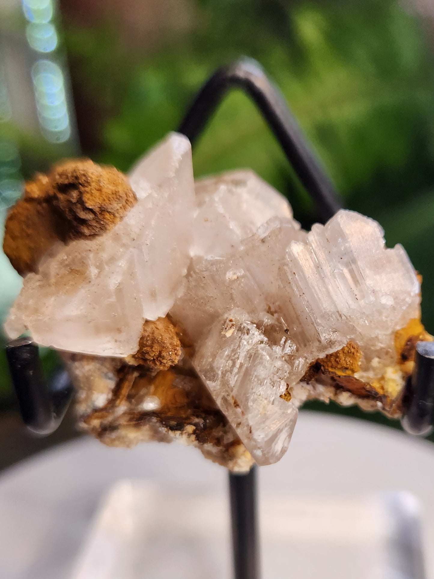 Blade Selenite Crystal Specimen — Natural Satin Spar Gypsum Cluster | Cleansing, Purification, High-Vibration Stone