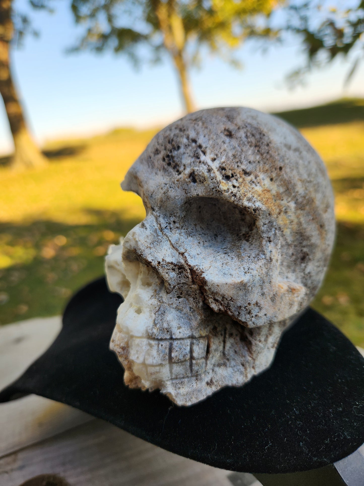 Natural Crystal Skull Carving – Unique White & Brown Druzy Quartz  with Sphalerite