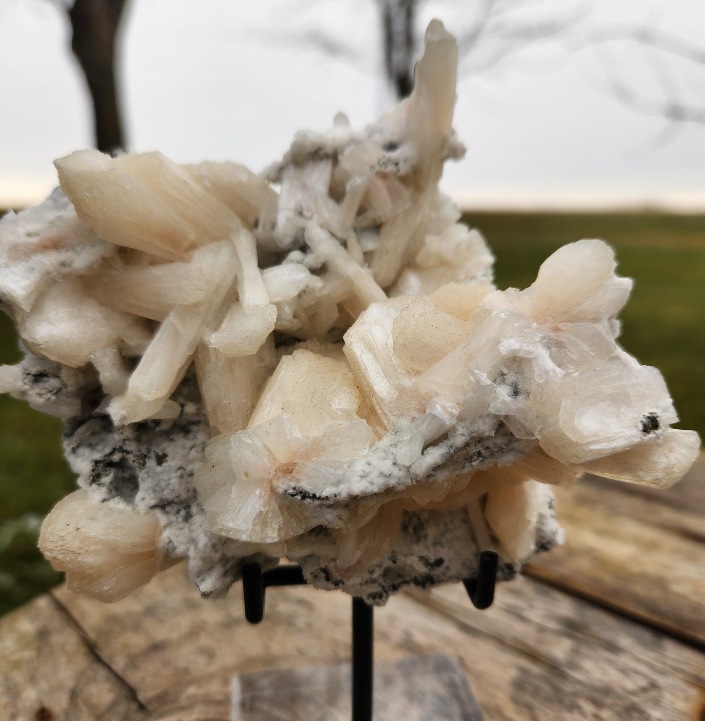 Large Peach-White Stilbite Cluster – Premium Indian Zeolite – Radiating Bladed Crystal Formation