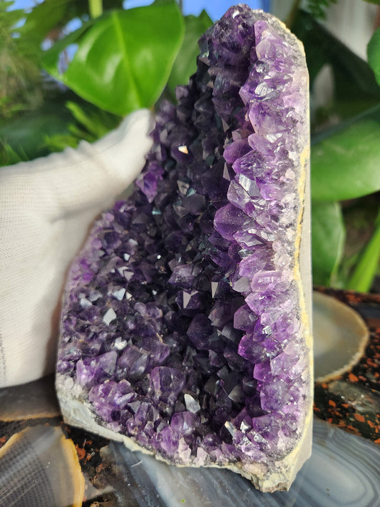 Stunning Amethyst Druzy Cluster from Brazil – Sparkling Purple Quartz Crystal Geode • Natural Healing Stone • Collector Display Specimen With Cut Base