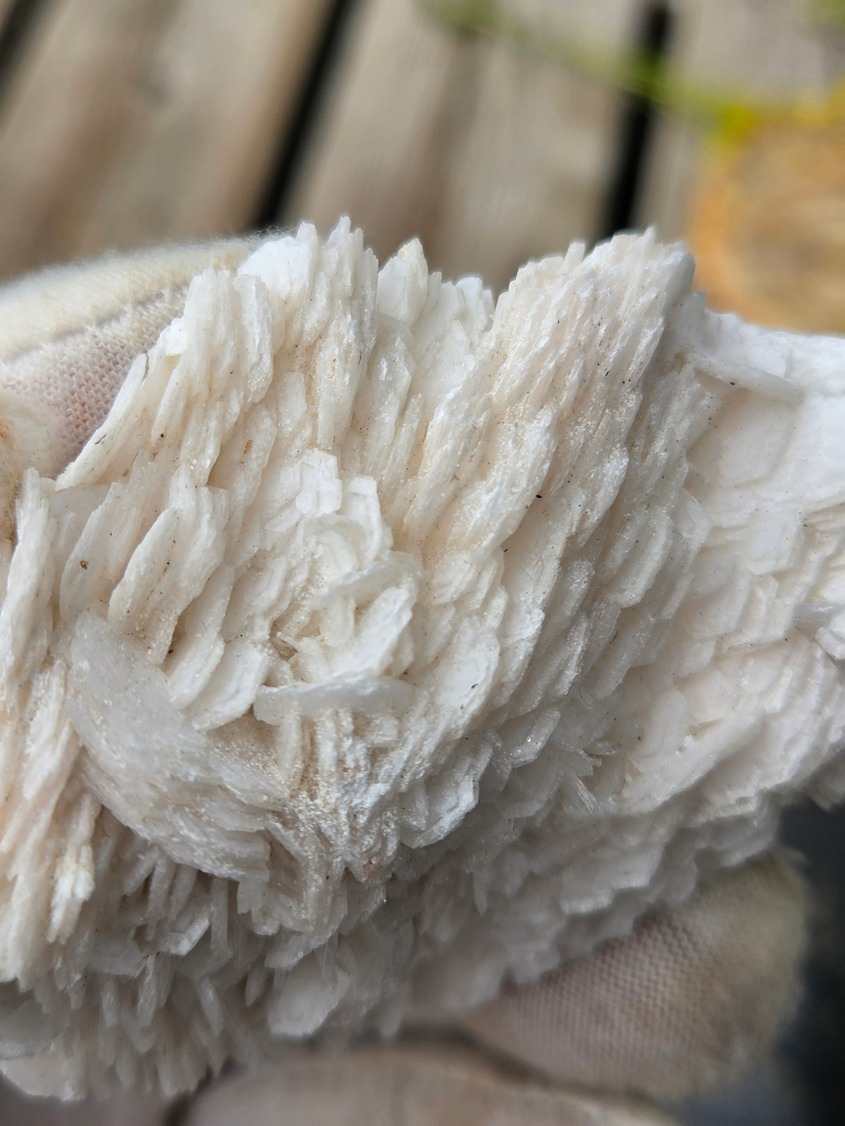 Angel Wing Calcite Crystal Cluster | White Bladed Calcite Mineral Specimen