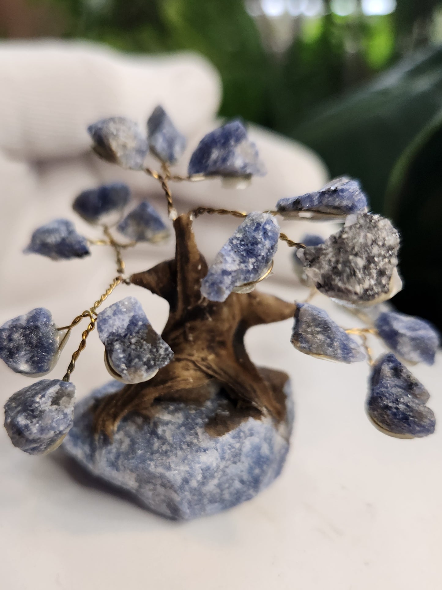 Handmade Sodalite Crystal Tree on Sodalite Base | Natural Blue Gemstone Tree | Clarity & Communication Crystal Decor