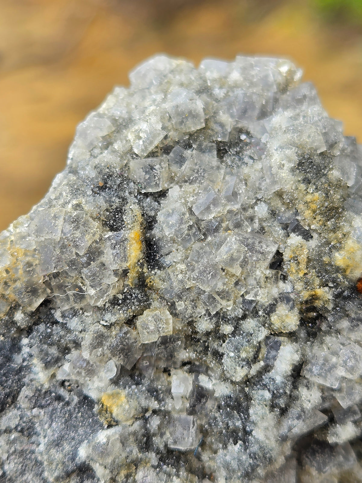 Natural Fluorite Crystal Cluster on Matrix | Raw Fluorite Mineral Specimen