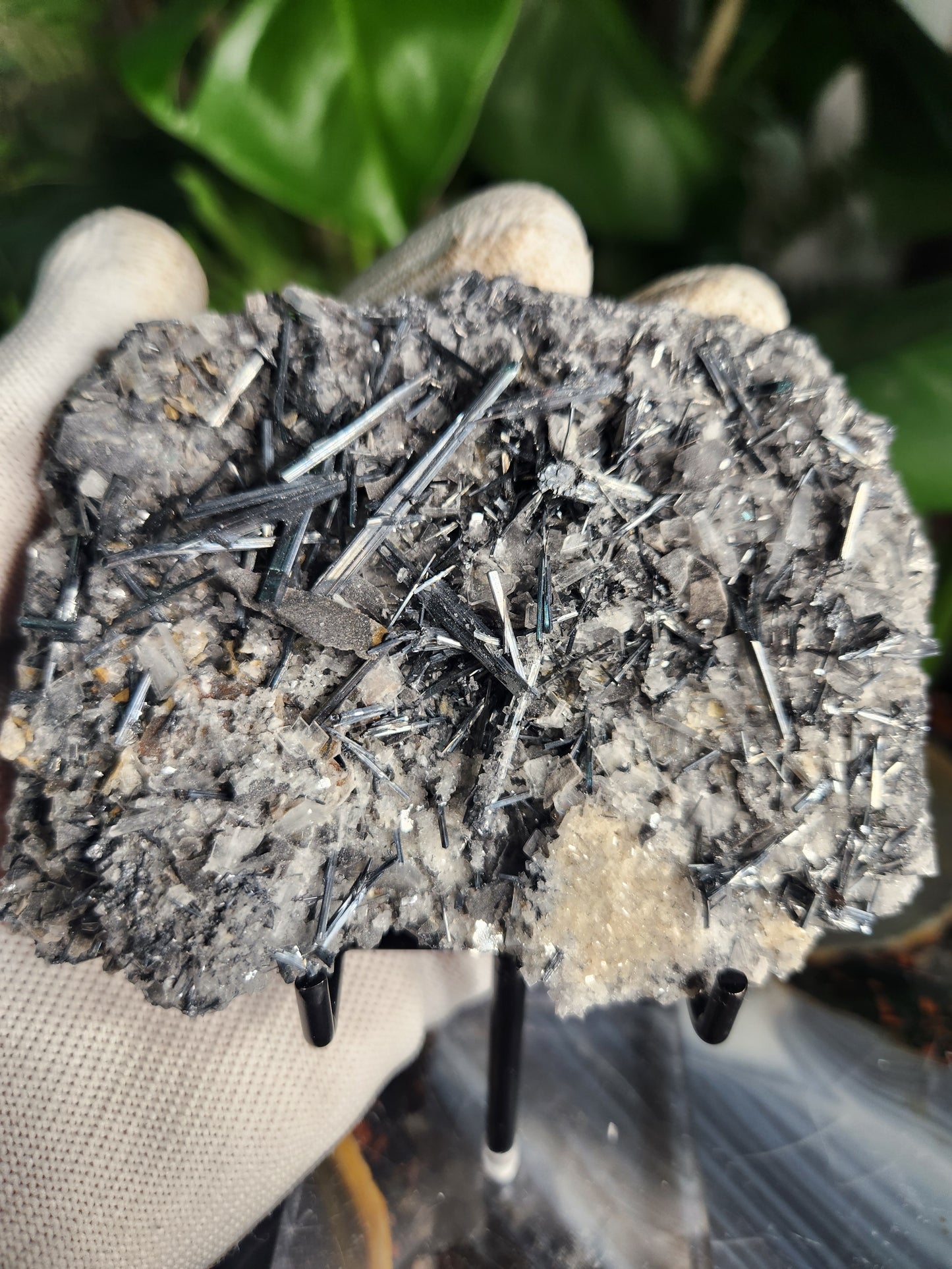 Gorgeous Raw Stibnite Crystal Cluster • Metallic Silver Needle Blades • Rare Collector Mineral Specimen • High-Shine Statement Piece