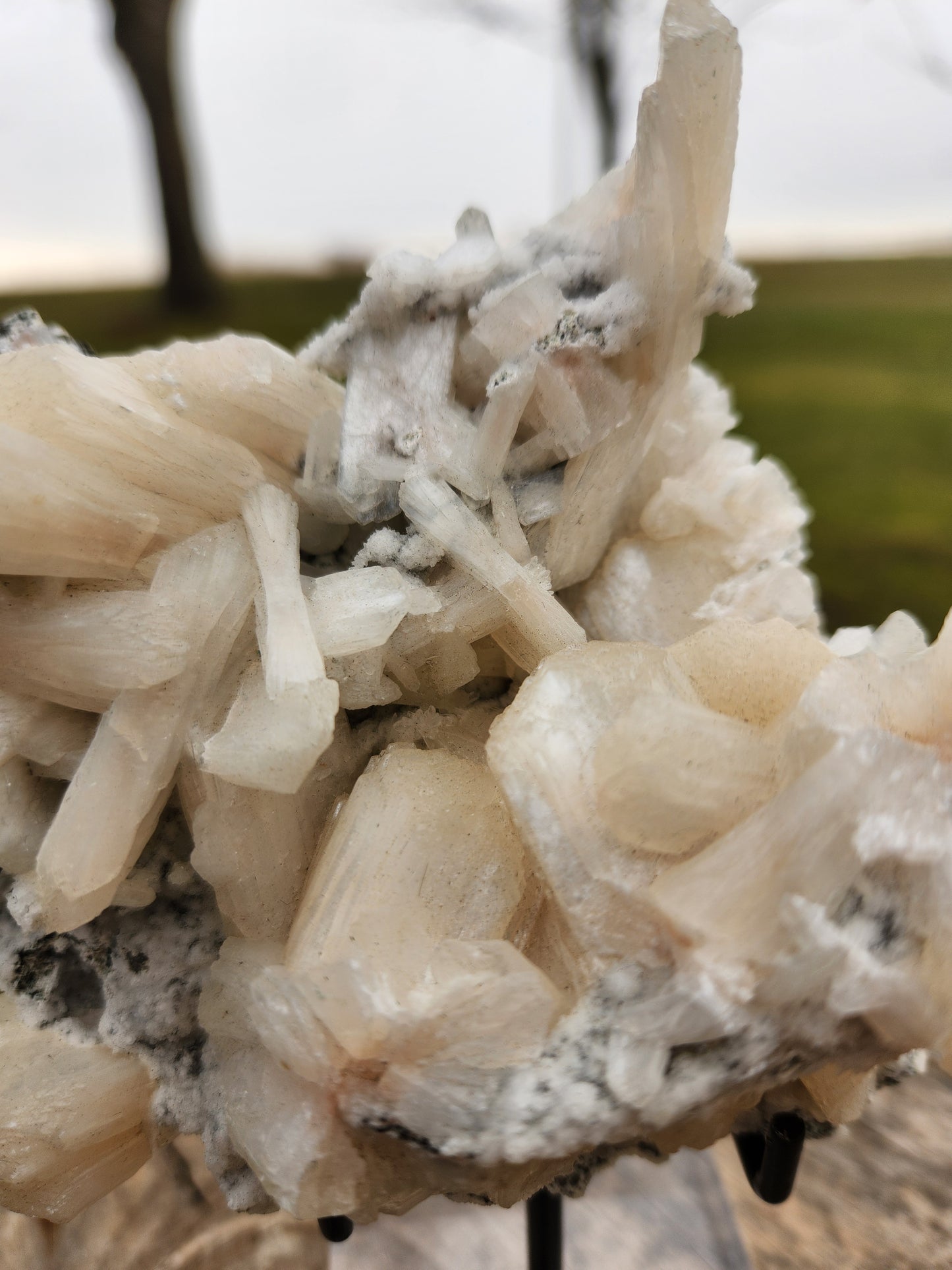 Large Peach-White Stilbite Cluster – Premium Indian Zeolite – Radiating Bladed Crystal Formation