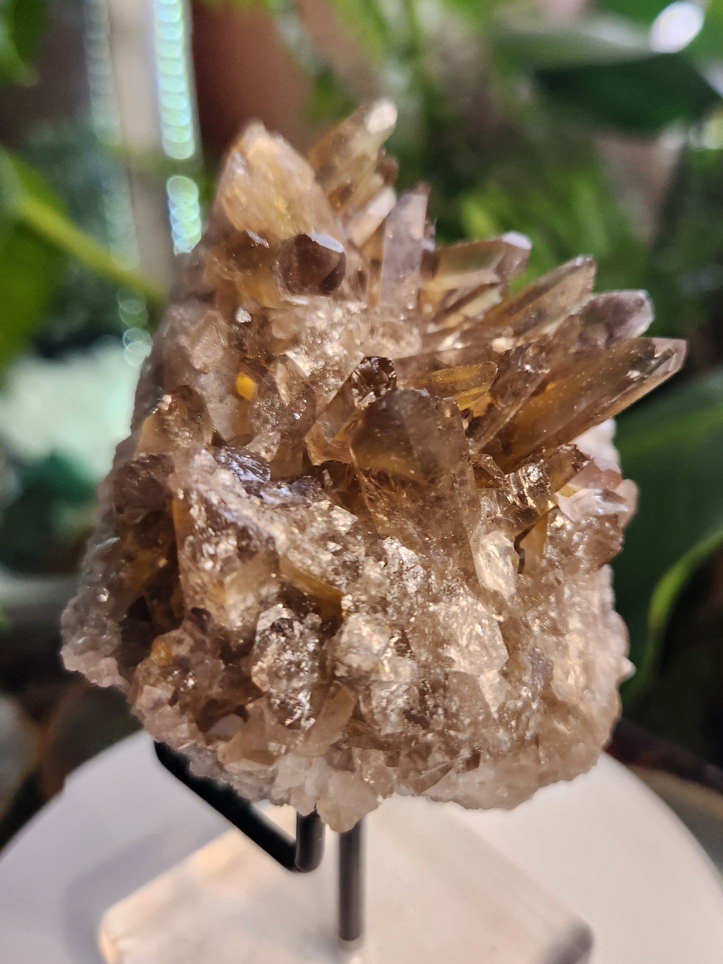 Natural Smoky / Smokey Quartz Crystal Cluster – Dark Smoky Quartz on Matrix - Brazil