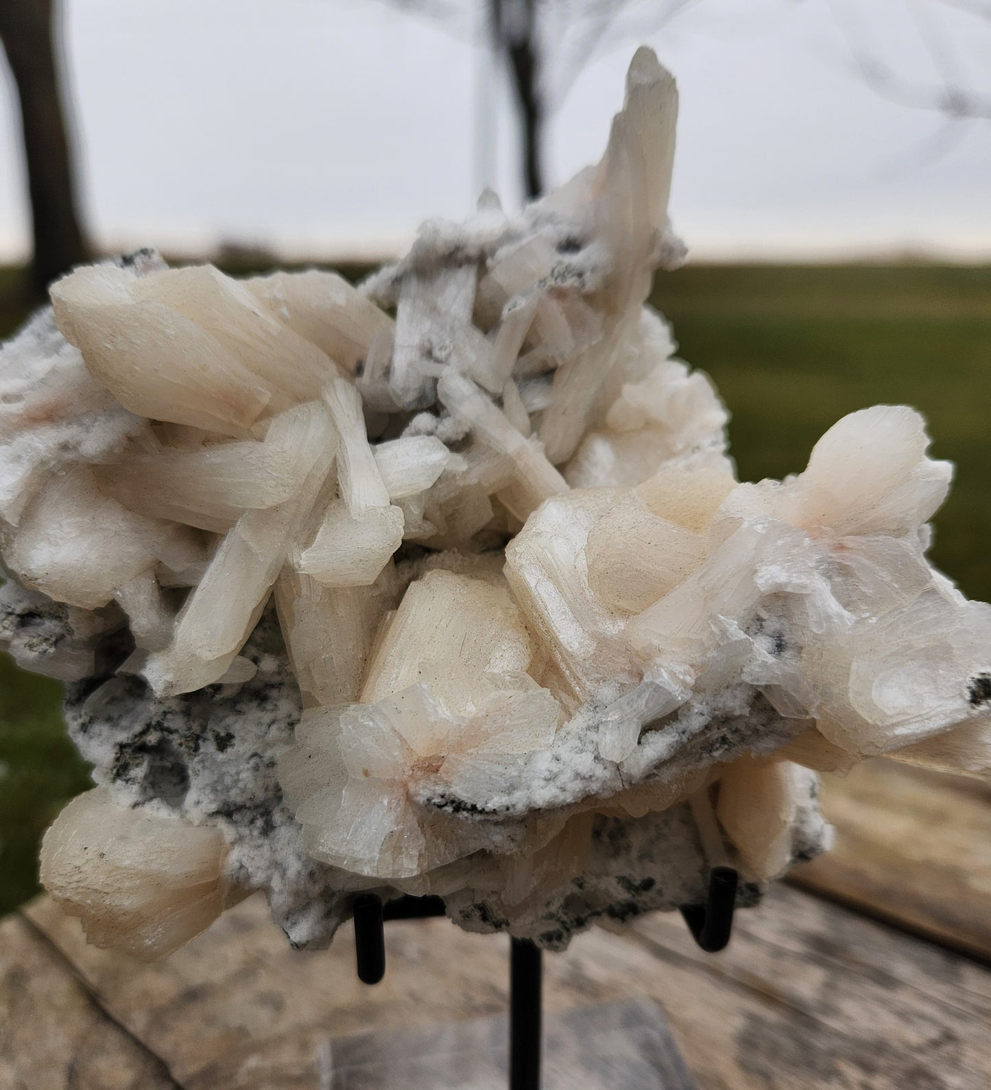 Large Peach-White Stilbite Cluster – Premium Indian Zeolite – Radiating Bladed Crystal Formation