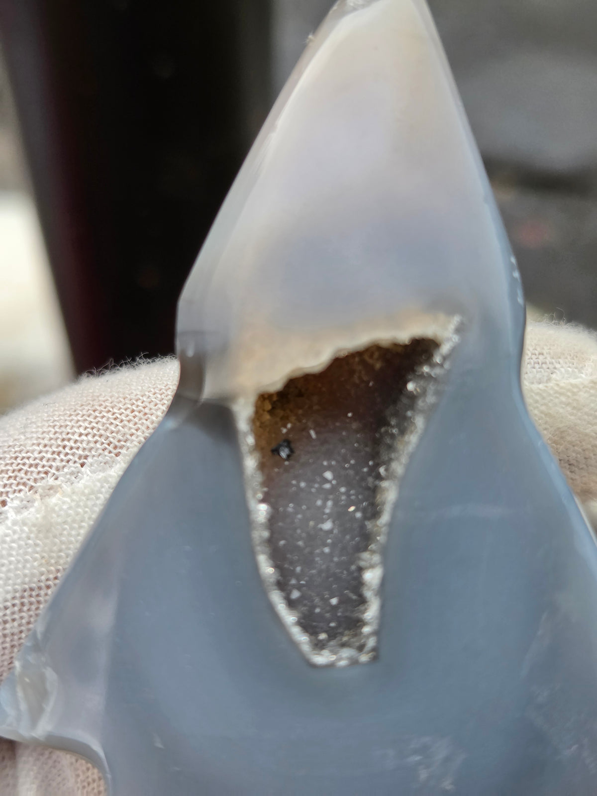 Druzy Agate Tree | Polished Agate Crystal with Druzy Pocket