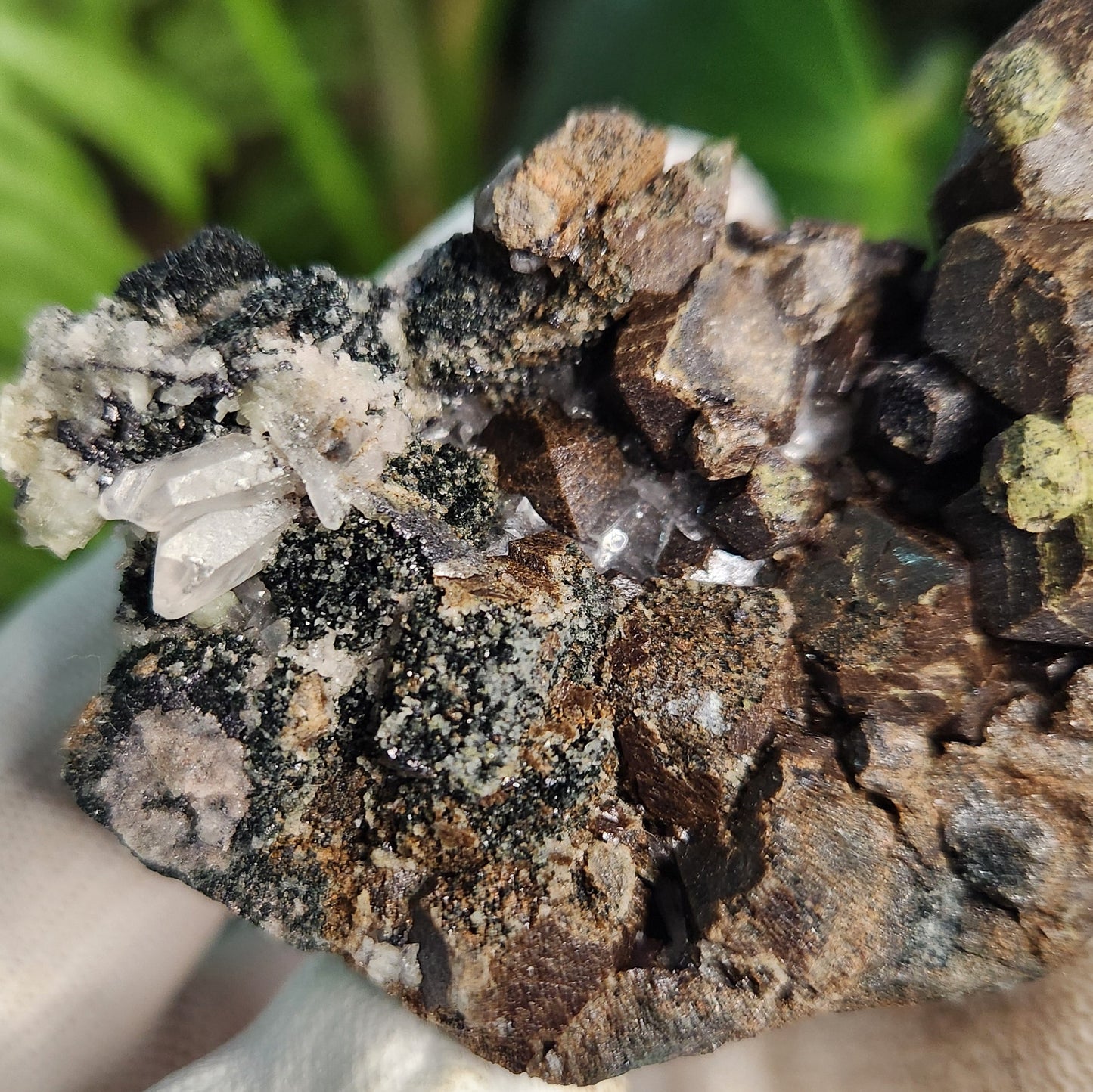 Natural Garnet on Matrix with Green Epidote • Raw Almandine Garnet Cluster • Collector Mineral Specimen • Healing & Grounding Root Chakra Stone