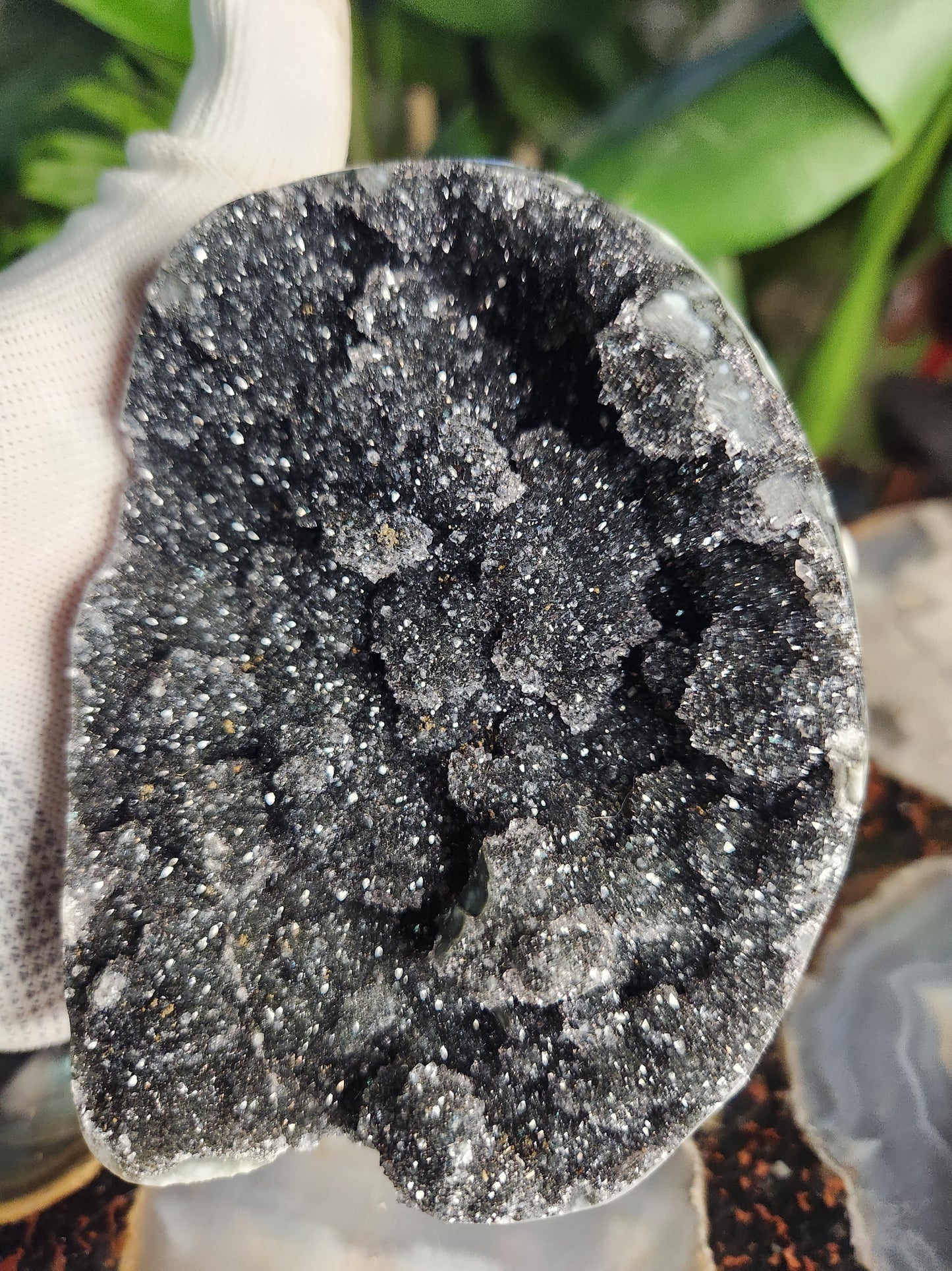 Large Druzy Black Amethyst Standing Freeform • Natural Dark Amethyst Cluster from Brazil • Sparkling Druzy Display Piece • Protection & Cleansing Crystal