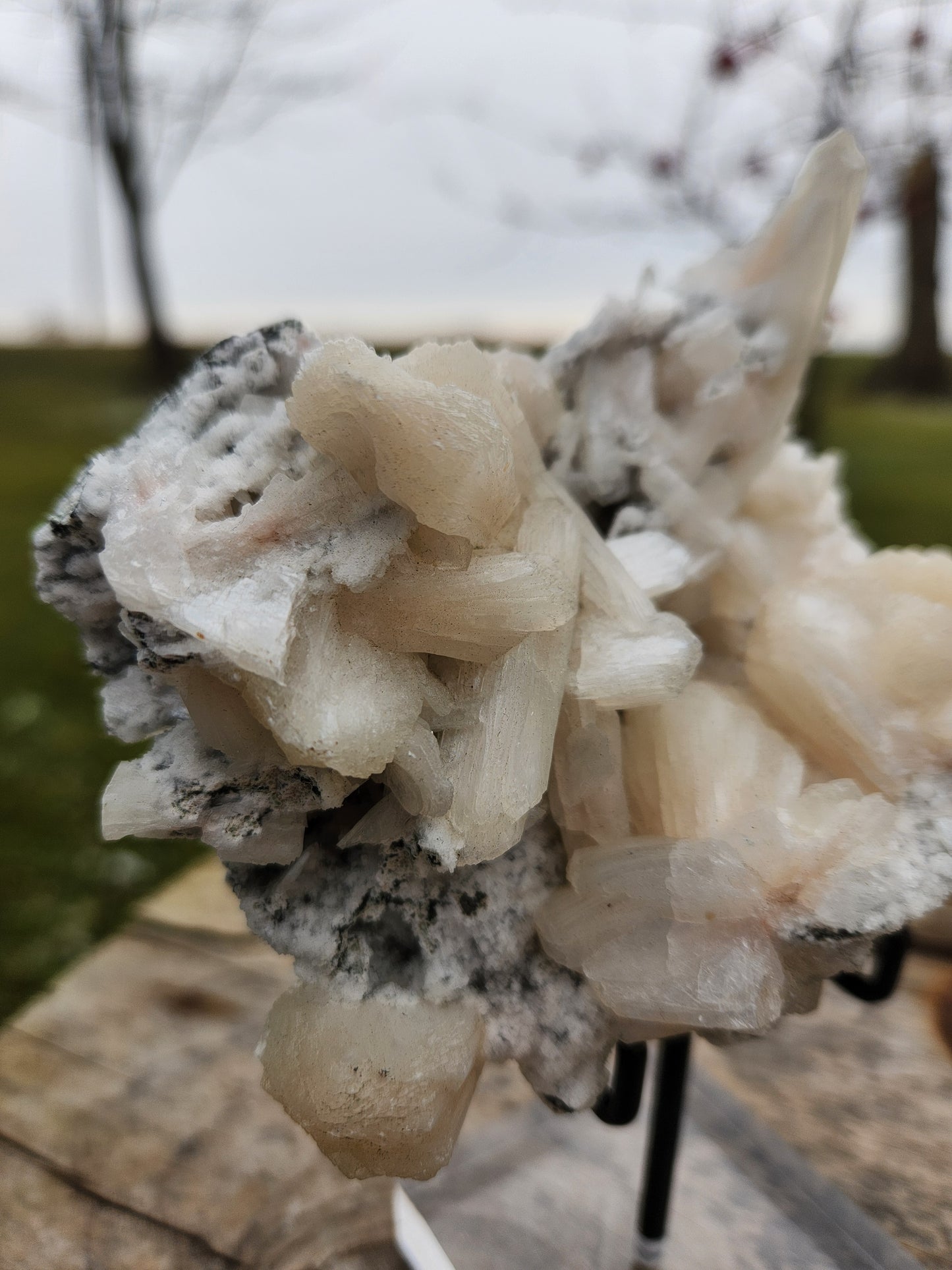 Large Peach-White Stilbite Cluster – Premium Indian Zeolite – Radiating Bladed Crystal Formation