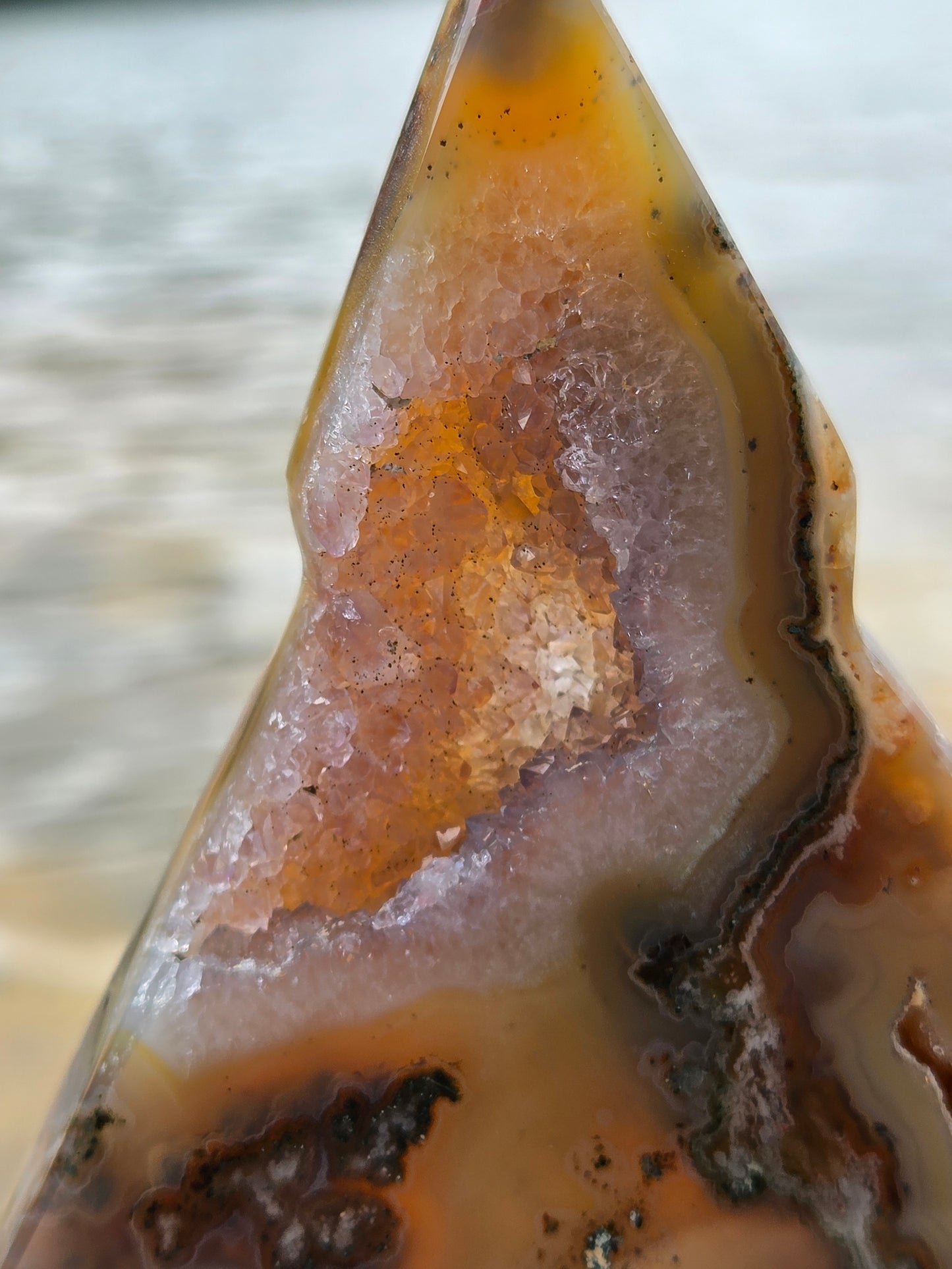 Druzy Agate Tree | Polished Agate Crystal with Druzy Pocket