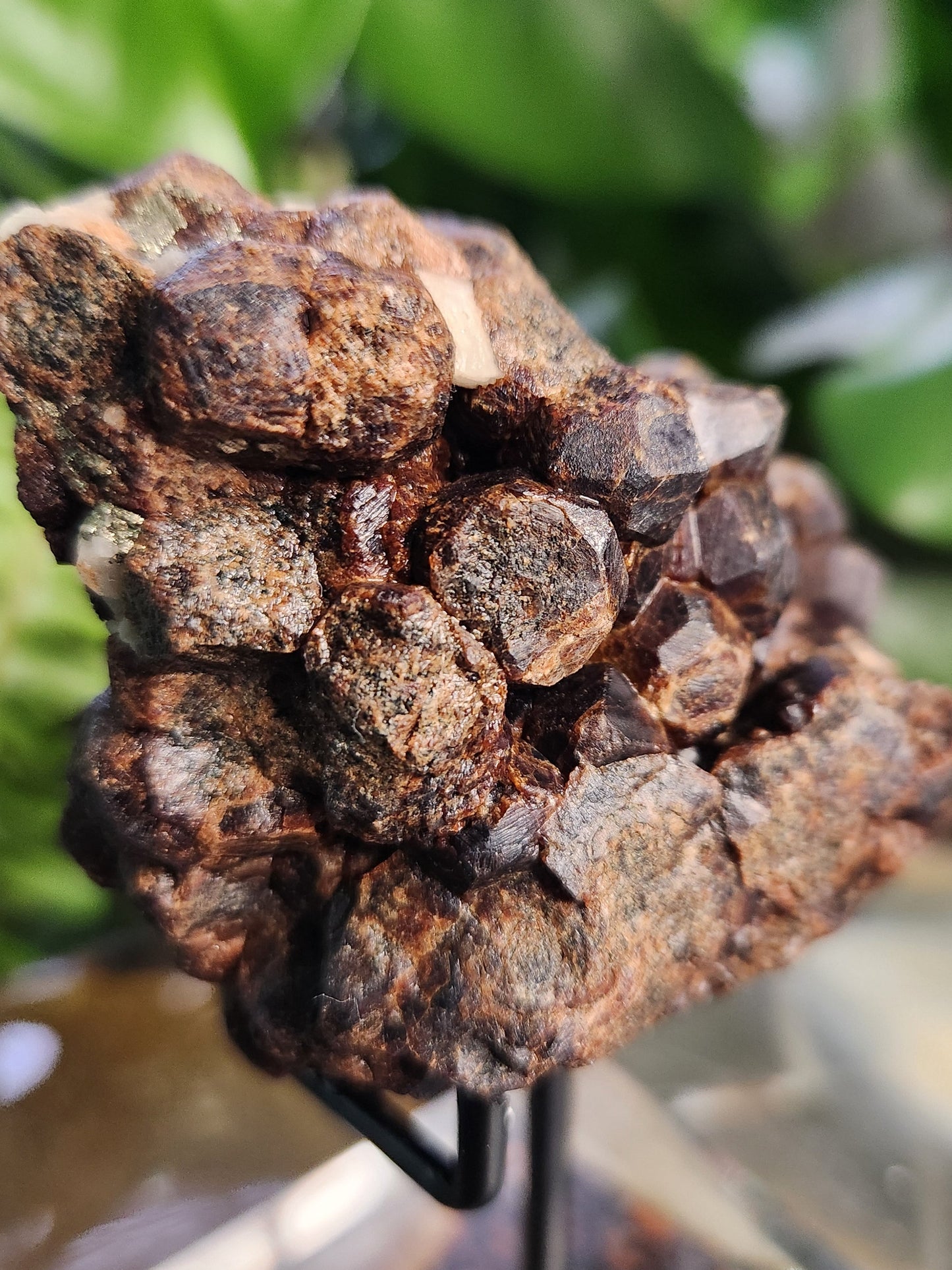 Natural Garnet on Matrix with Pyrite • Raw Almandine Garnet Cluster • Collector Mineral Specimen • Healing & Grounding Root Chakra Stone