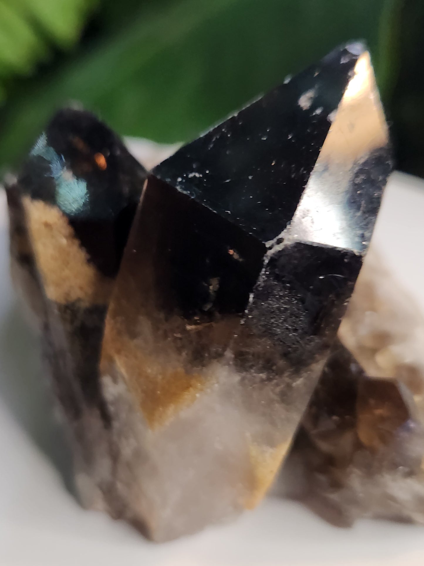 Natural Smoky / Smokey Quartz Crystal Cluster – Dark Smoky Quartz on Matrix - Brazil