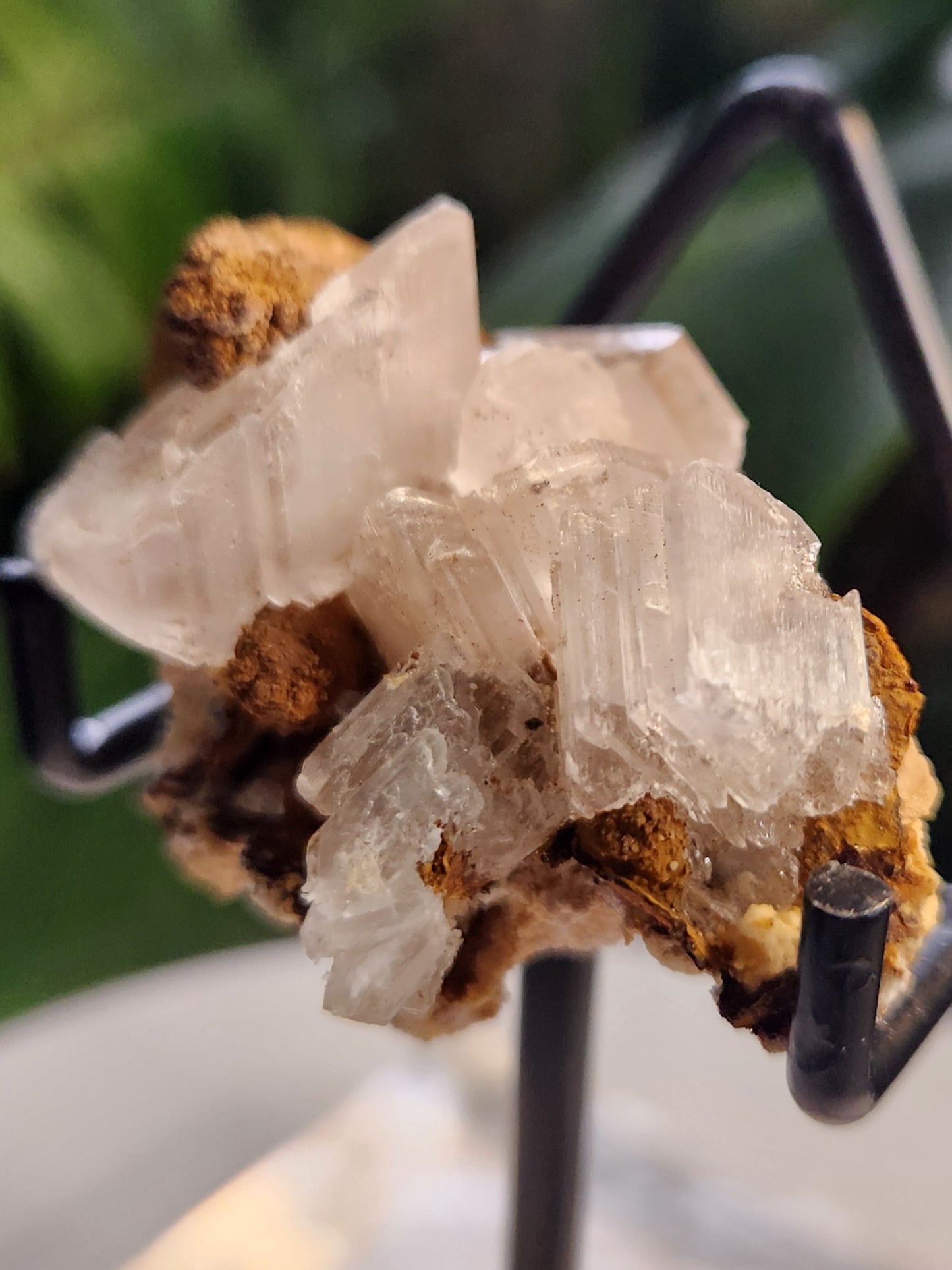 Blade Selenite Crystal Specimen — Natural Satin Spar Gypsum Cluster | Cleansing, Purification, High-Vibration Stone