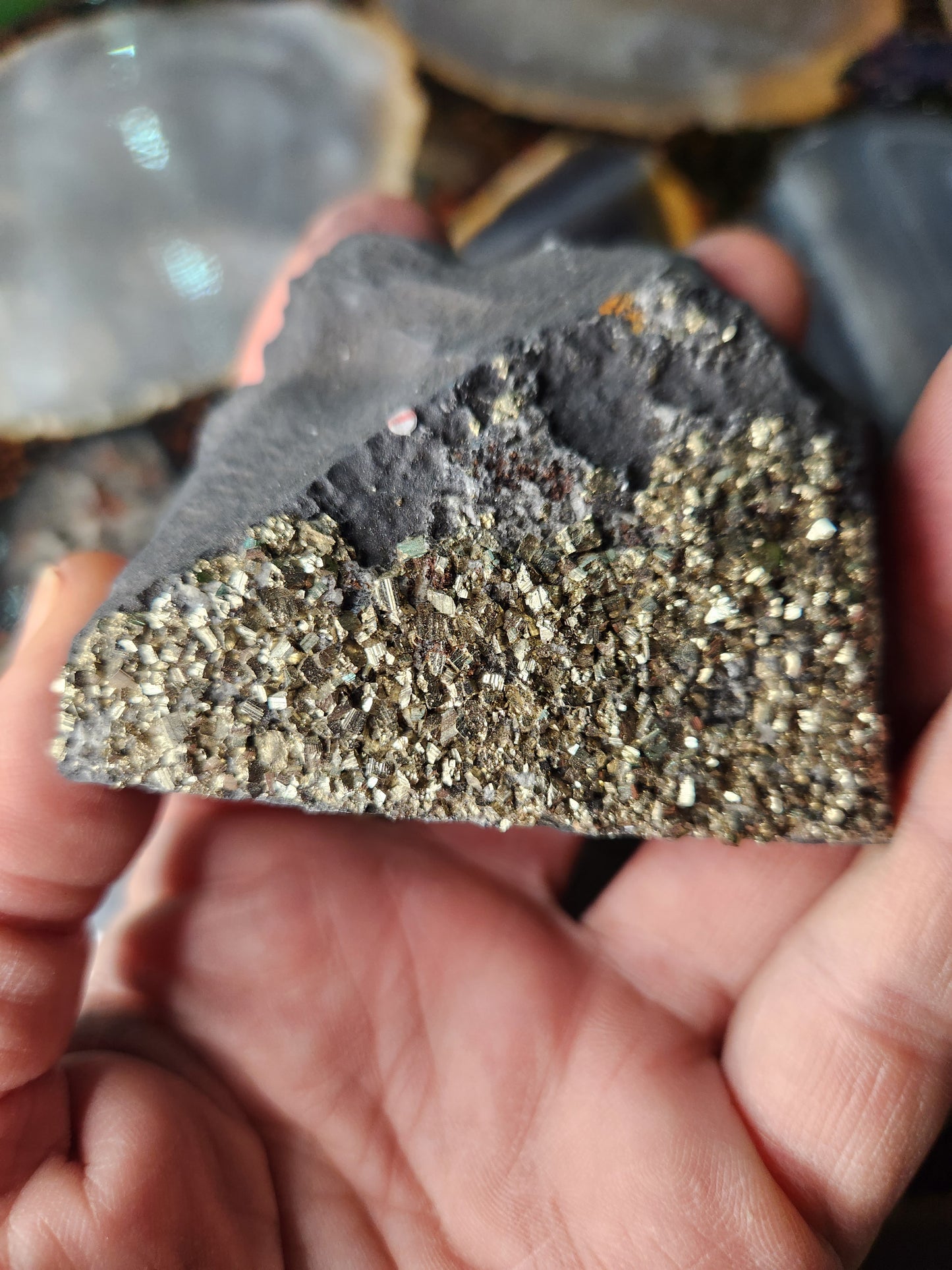Raw Shungite with Natural Pyrite Inclusions – Russia | Elite Protection Stone • EMF Shielding • Collector Mineral Specimen